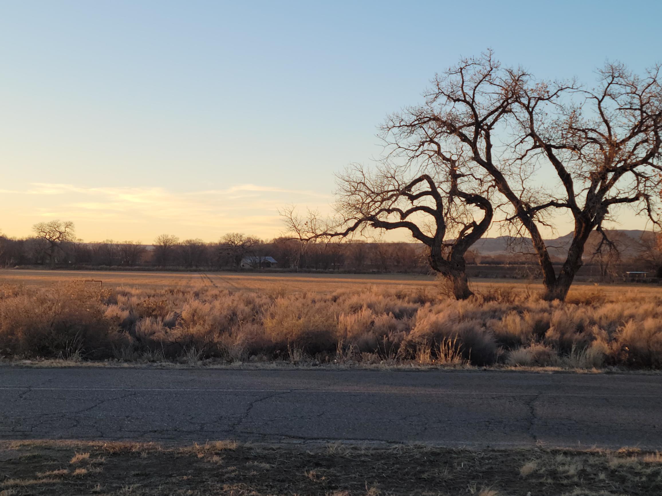Homes for sale in Los Lunas, NM | La Entrada Rd, Los Lunas, NM 87031 | MLS# 1056411