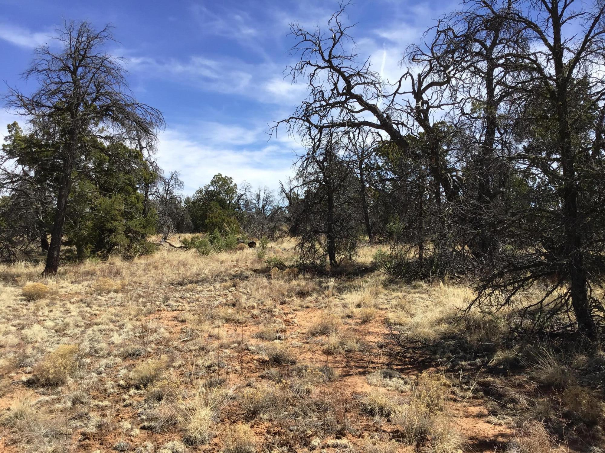 Homes for sale in Ramah, NM | Lot 641 A Gabe Rd, Ramah, NM 87321 | MLS# 1056728