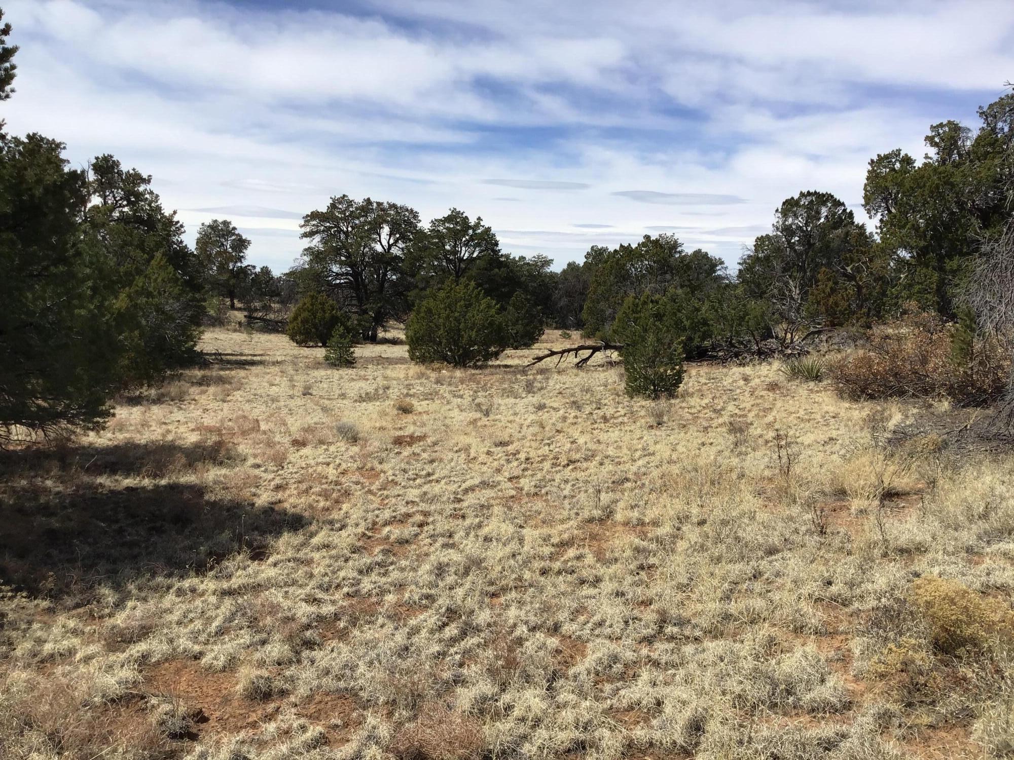 Homes for sale in Ramah, NM | Lot 694 Fred Rd, Ramah, NM 87321 | MLS# 1056768