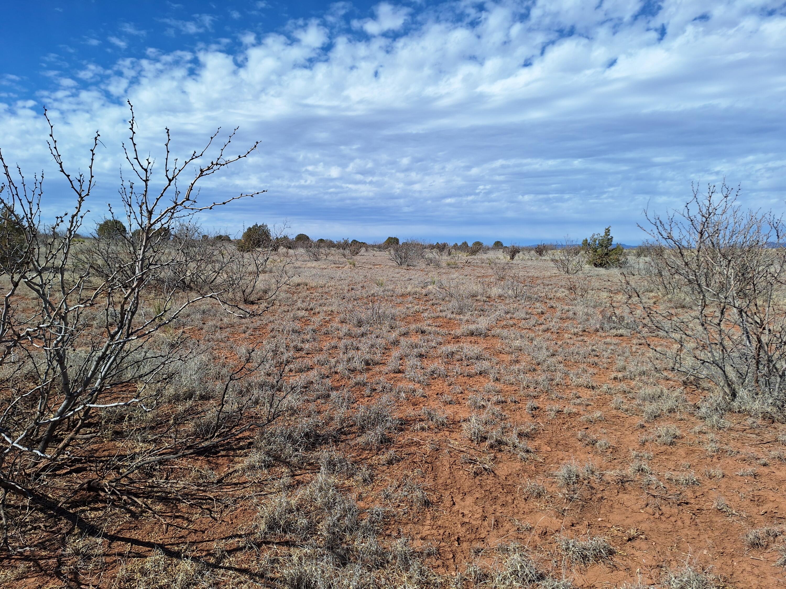 Homes for sale in NM | 05 Magnolia,NM 88421 | MLS# 1057058