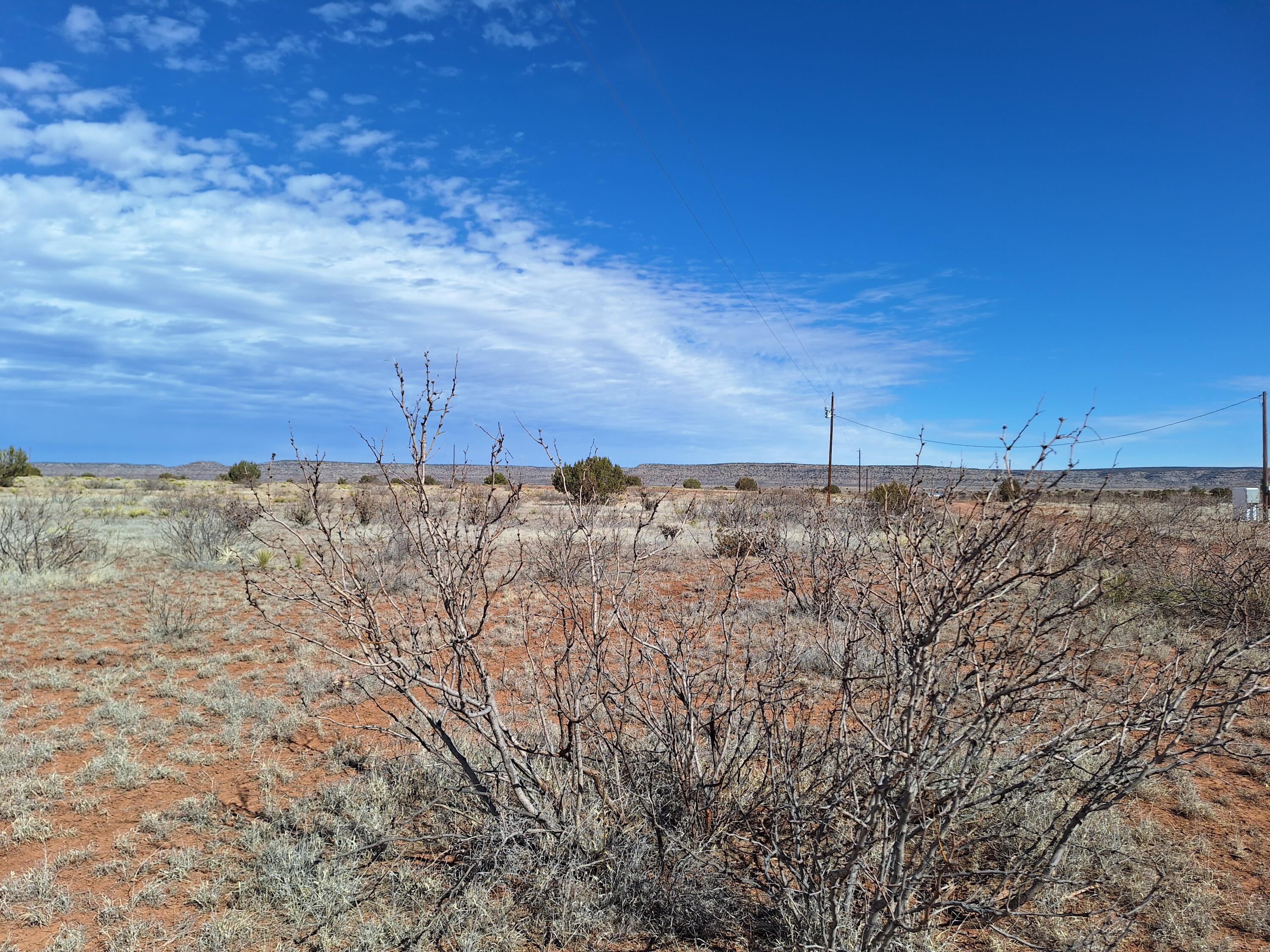 Homes for sale in NM | 05 Magnolia,NM 88421 | MLS# 1057058