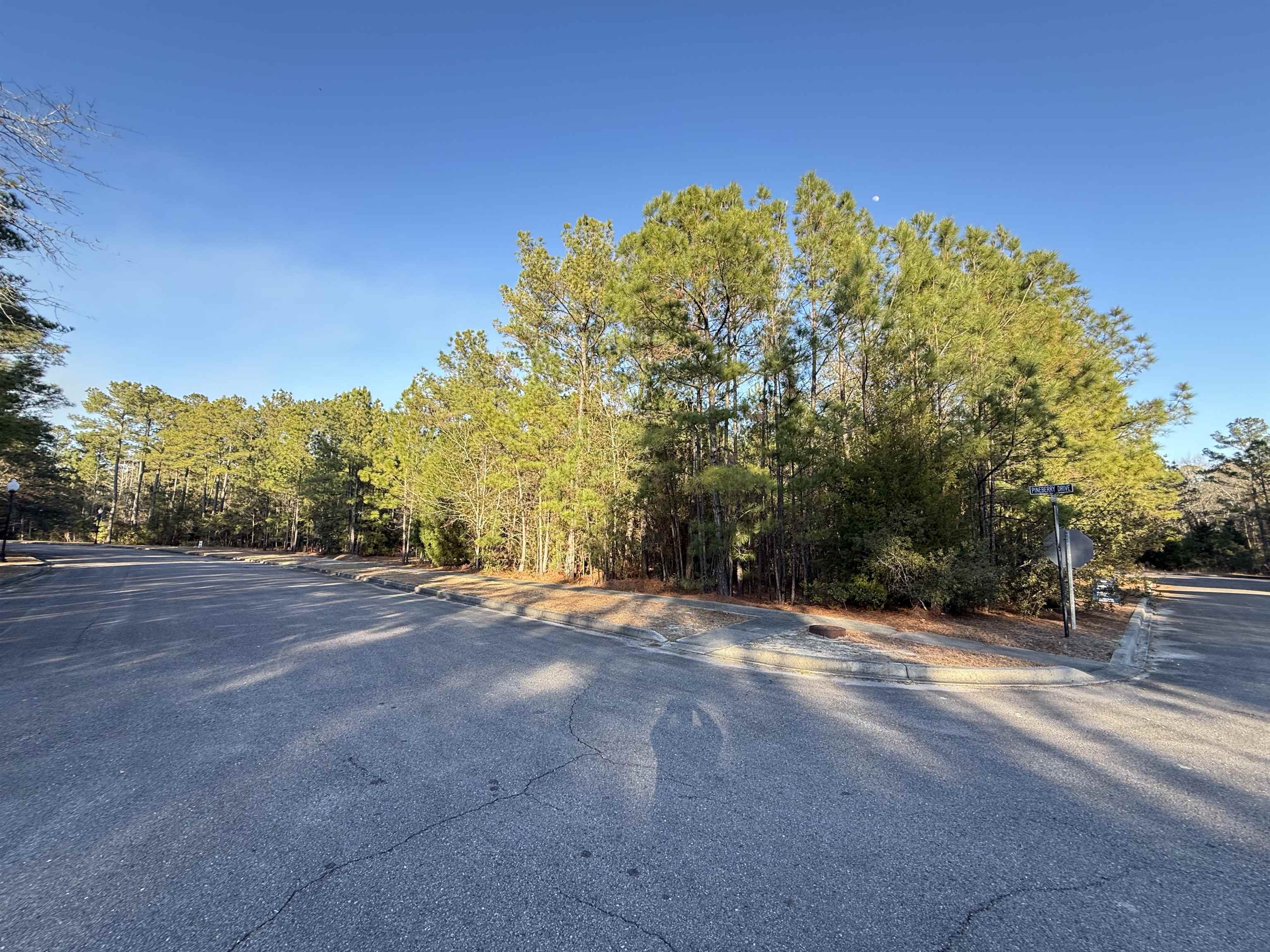 Homes for sale in Georgetown, SC | 153 Bridge View Rd, Georgetown, SC 29440 | MLS# 2403748