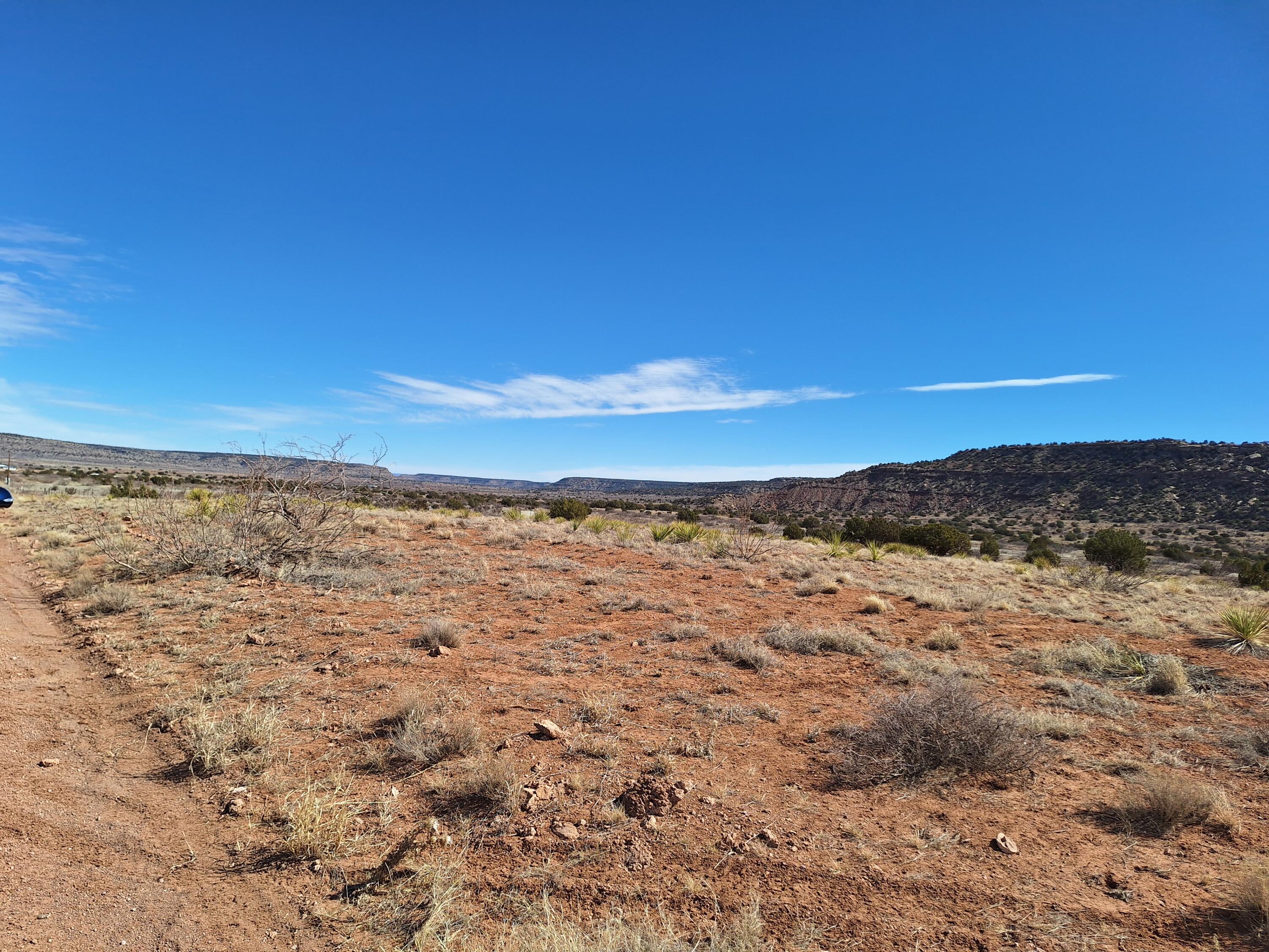 Homes for sale in NM | 04 E Magnolia,NM 88421 | MLS# 1057230