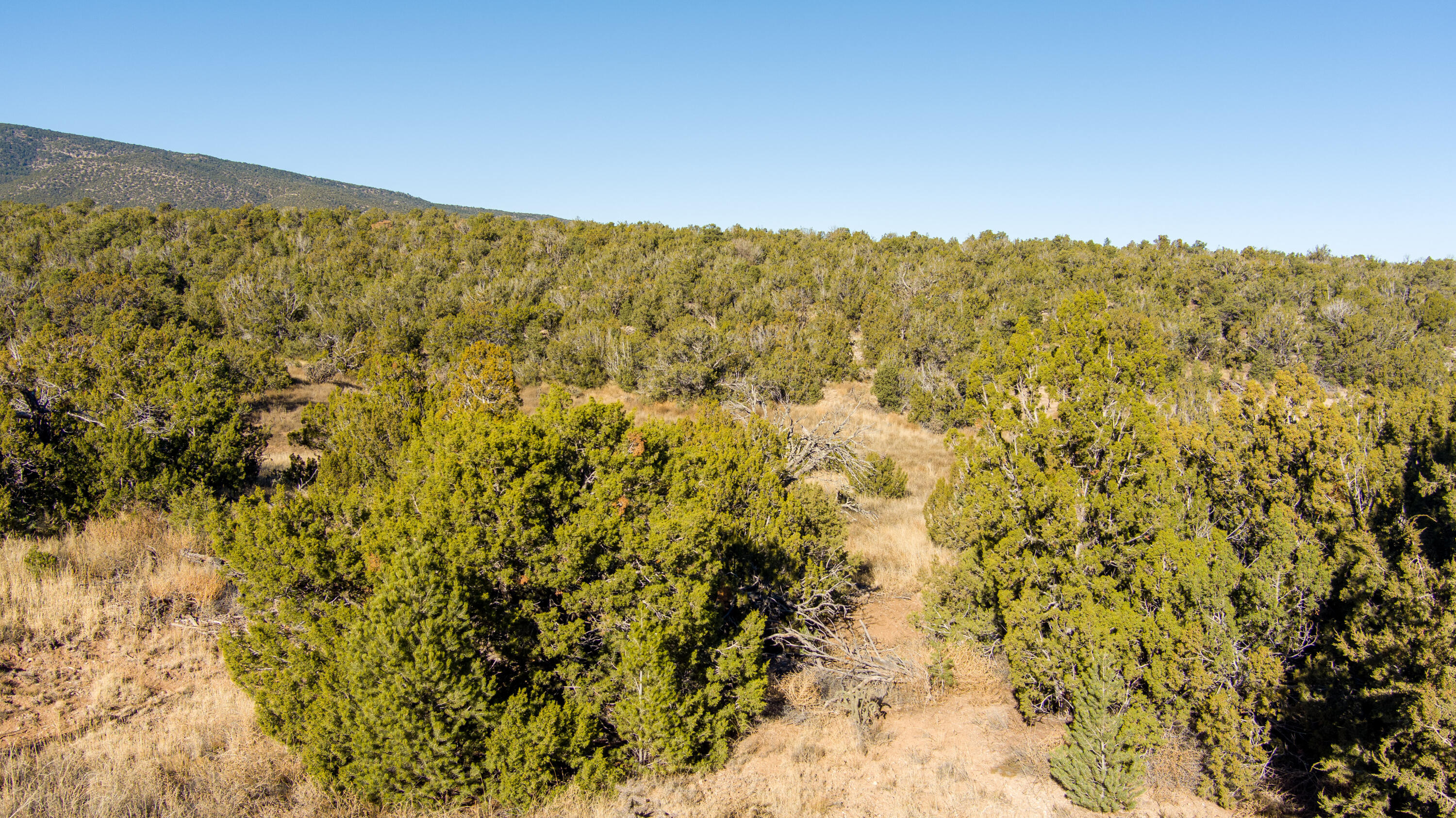 Homes for sale in Sandia Park, NM | 20 Canon Escondido, Sandia Park, NM 87047 | MLS# 1057442