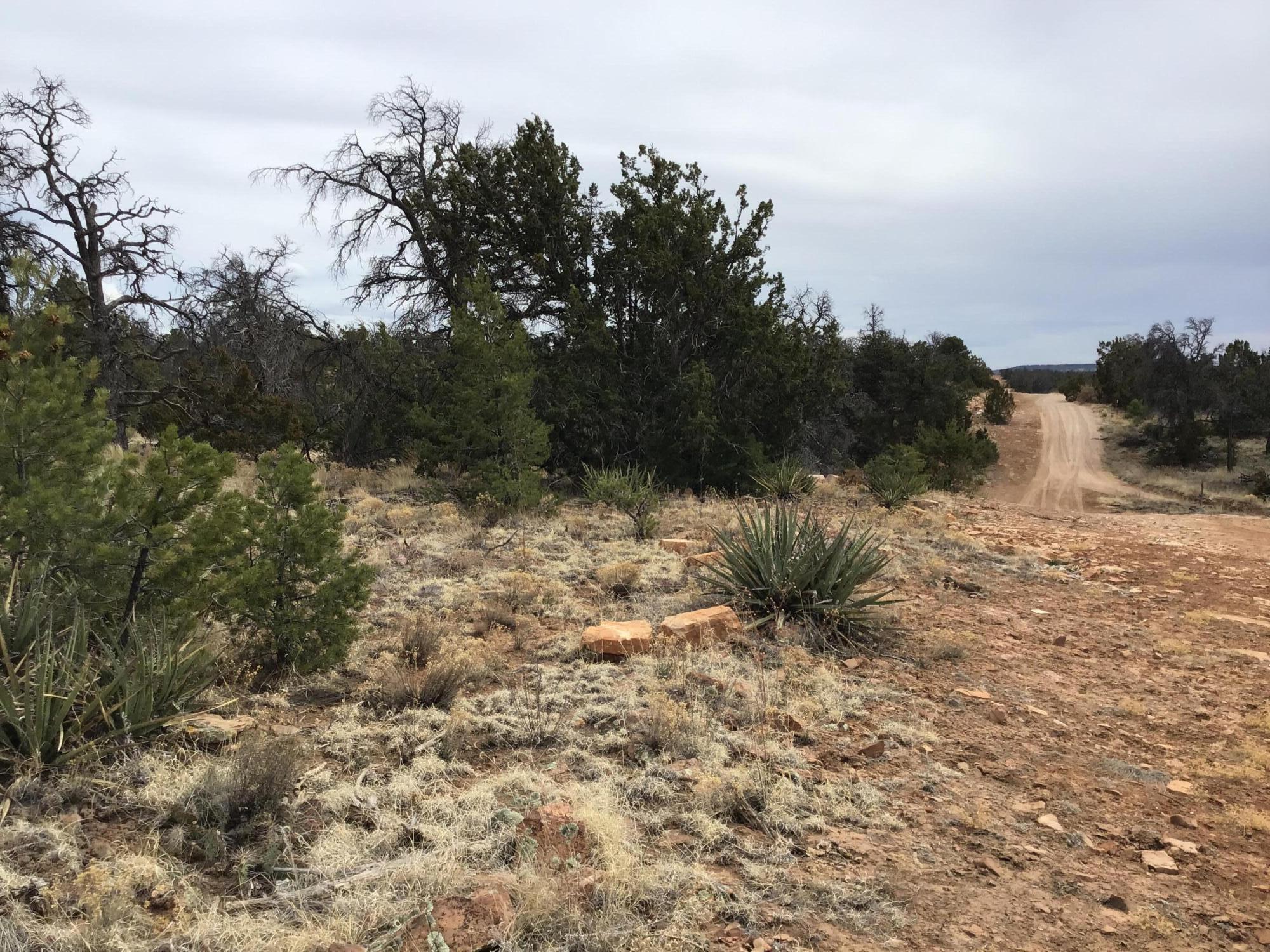 1st image of Lot 585 Betty Ln, Ramah, NM 87321 | MLS# 1057516