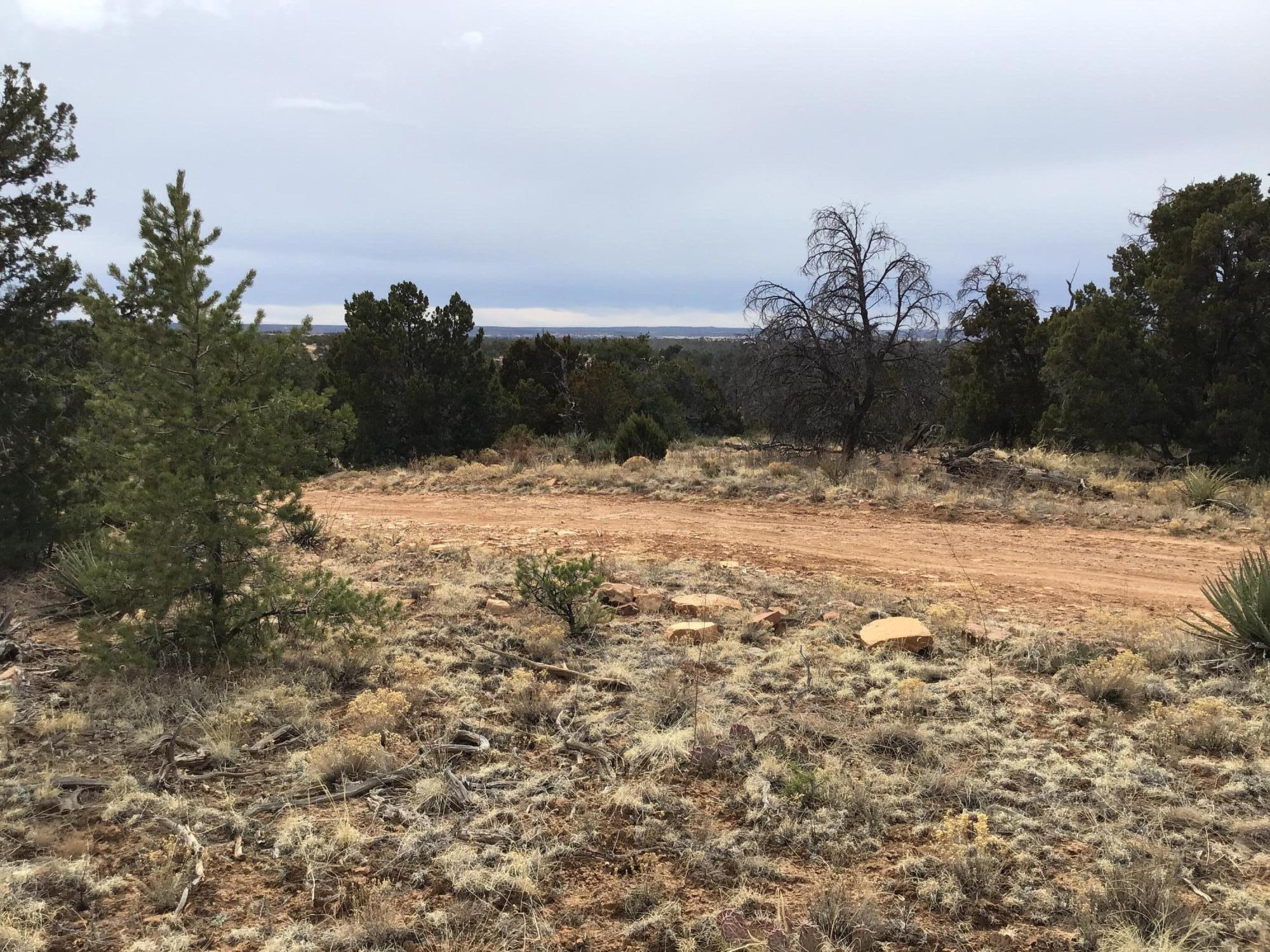 14th image of Lot 585 Betty Ln, Ramah, NM 87321 | MLS# 1057516