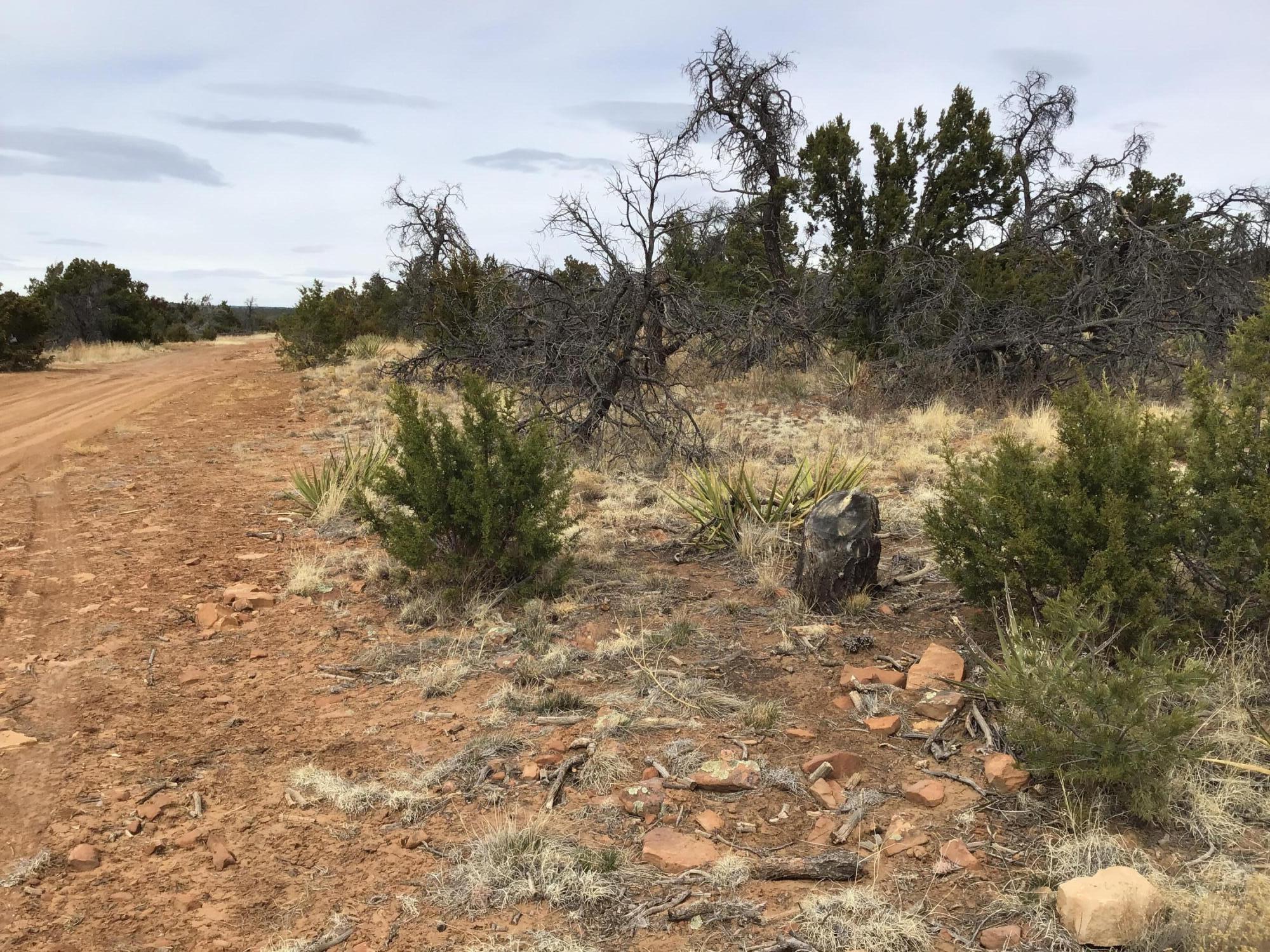 5th image of Lot 585 Betty Ln, Ramah, NM 87321 | MLS# 1057516