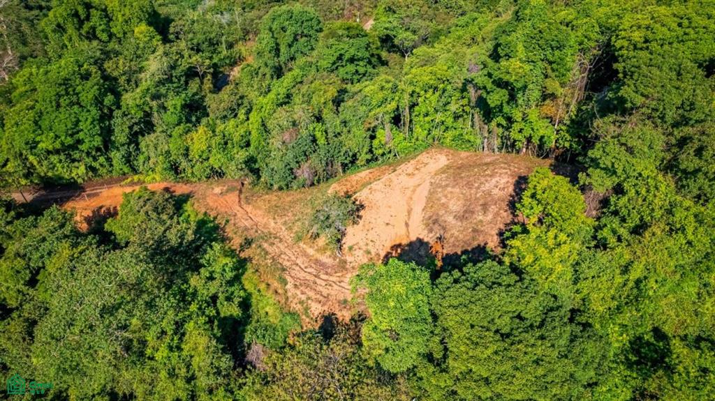 0 bed Land For Sale in Osa, Puntarenas - 1