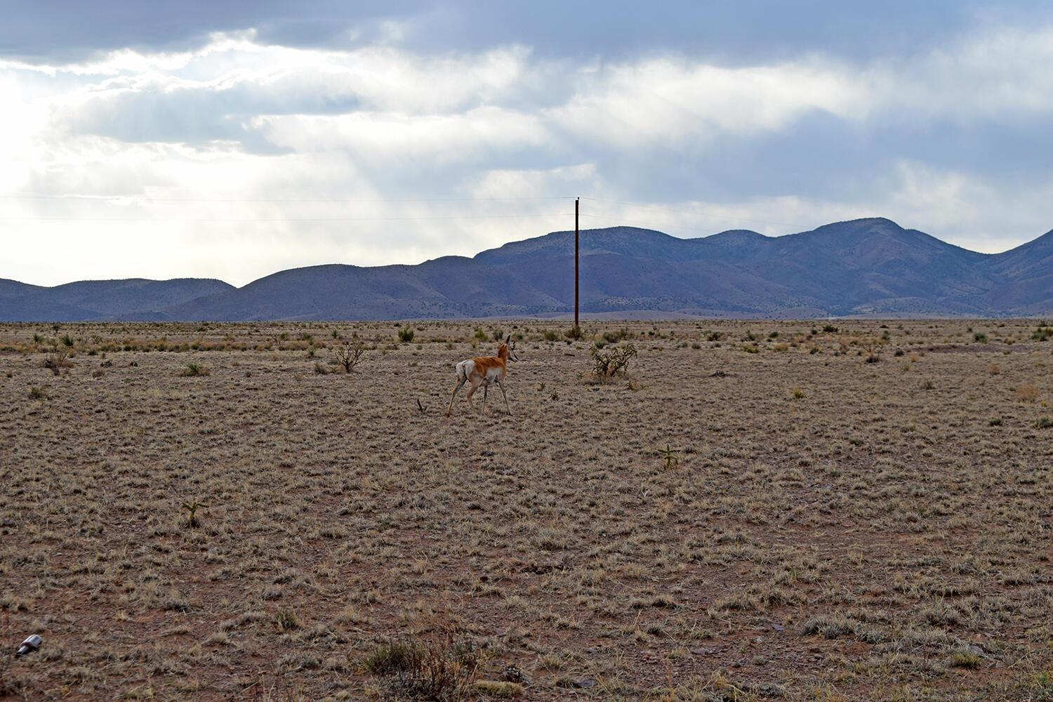 Homes for sale in San Antonio, NM | Lot 3 69 High Chaparral Rd, San Antonio, NM 87832 | MLS# 1057846