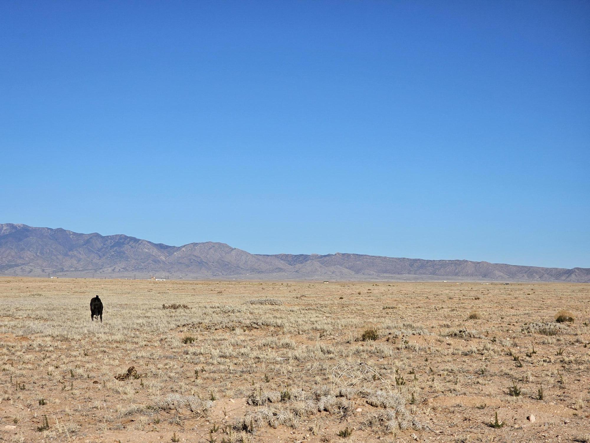 Homes for sale in Bernardo, NM | Vl Rio Grande Estates L12 Blk 314 #7, Bernardo, NM 87006 | MLS# 1058168