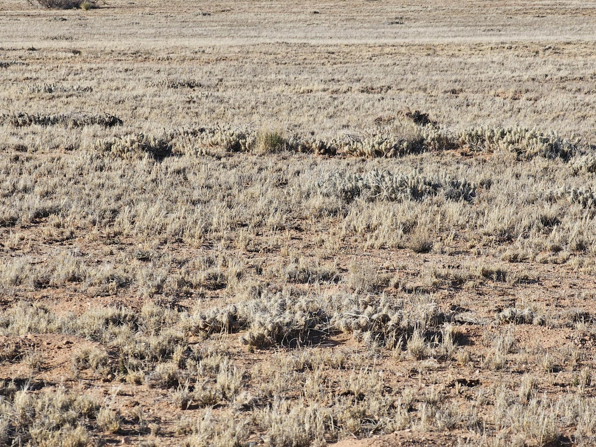 Homes for sale in Bernardo, NM | Vl Rio Grande Estates L13 Blk 314 #7, Bernardo, NM 87006 | MLS# 1058175