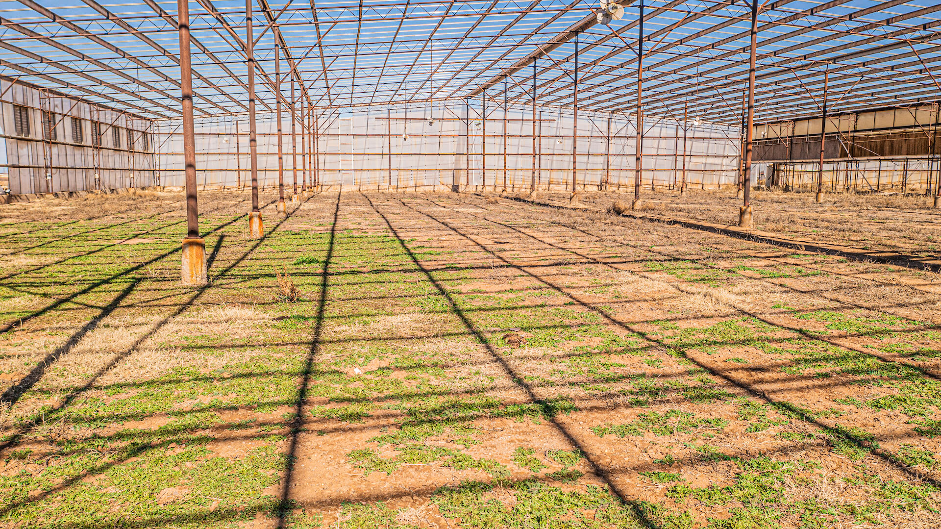 Homes for sale in Animas, NM | 29 Rose Ln, Animas, NM 88020 | MLS# 1058318