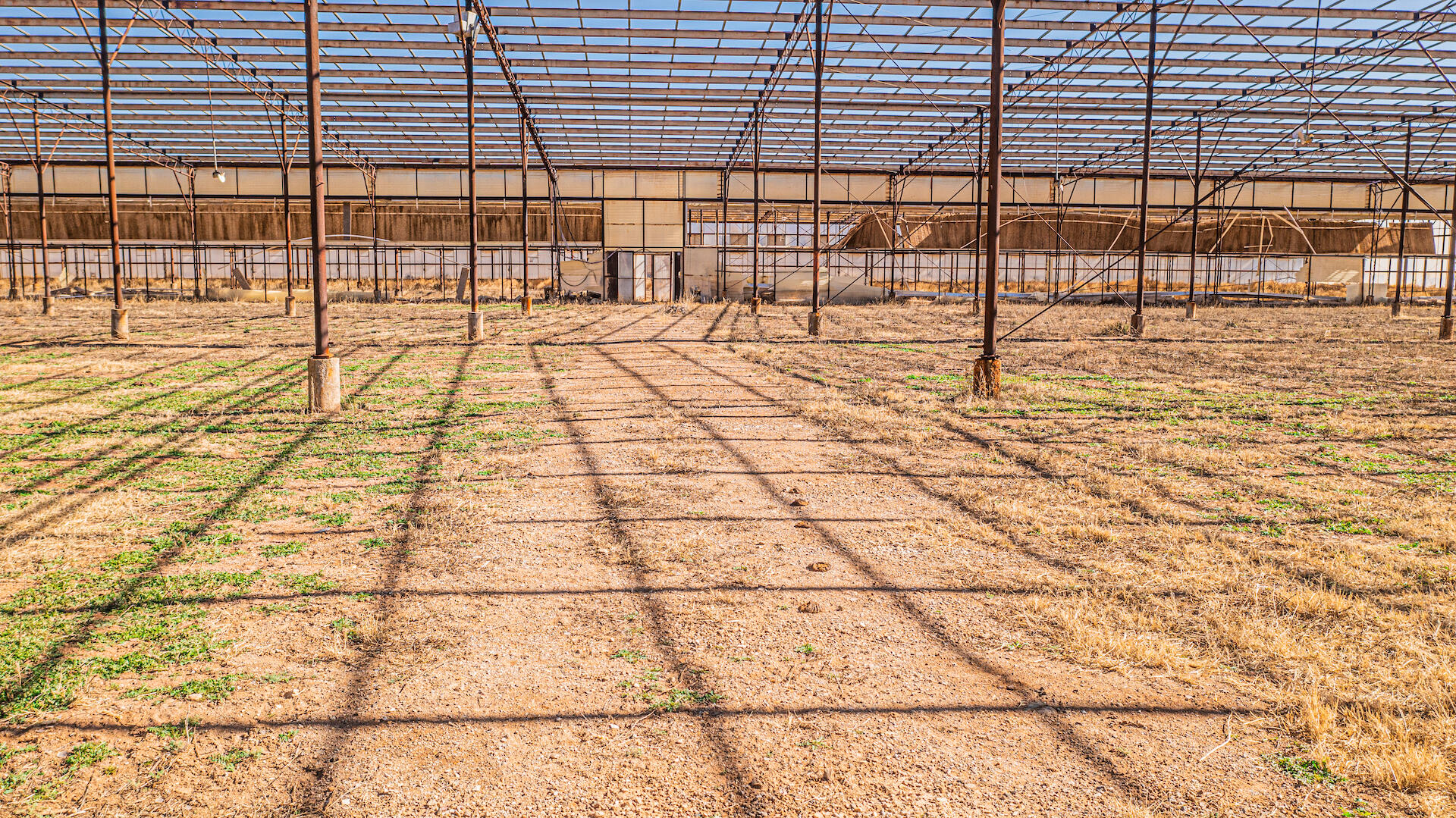 Homes for sale in Animas, NM | 29 Rose Ln, Animas, NM 88020 | MLS# 1058318