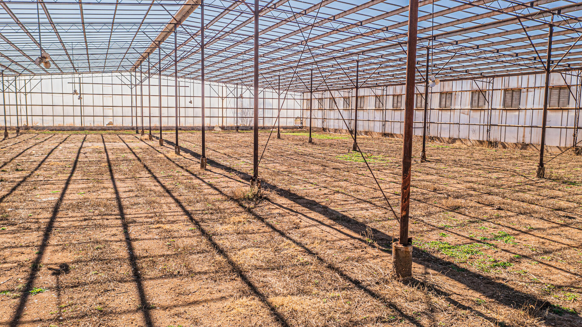 Homes for sale in Animas, NM | 29 Rose Ln, Animas, NM 88020 | MLS# 1058318