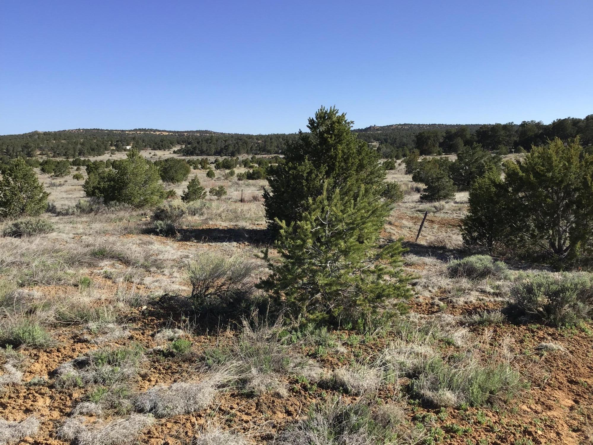 Homes for sale in Ramah, NM | Lot 11 Pinecrest Rd, Ramah, NM 87321 | MLS# 1058469