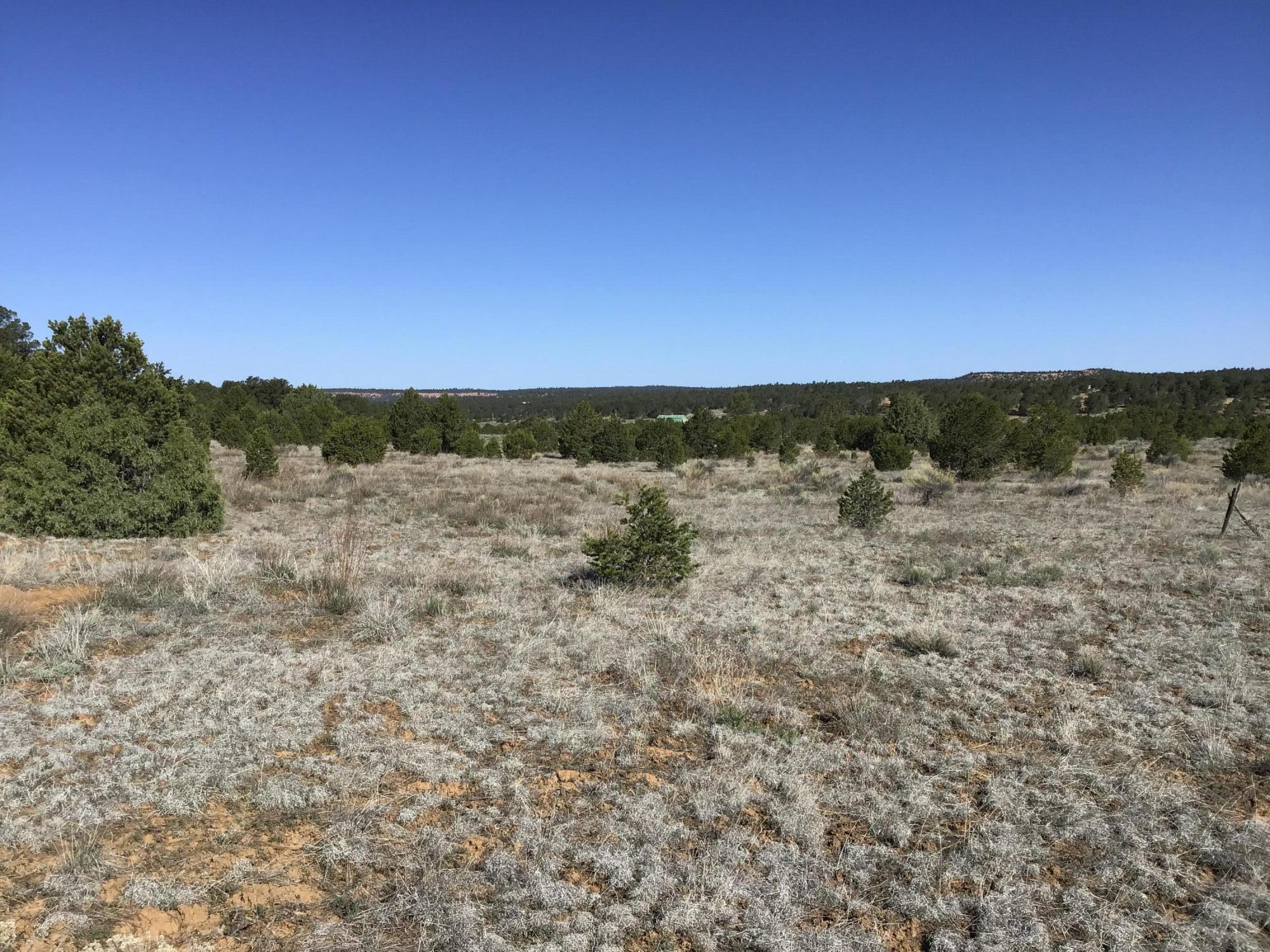Homes for sale in Ramah, NM | Lot 11 Pinecrest Rd, Ramah, NM 87321 | MLS# 1058469