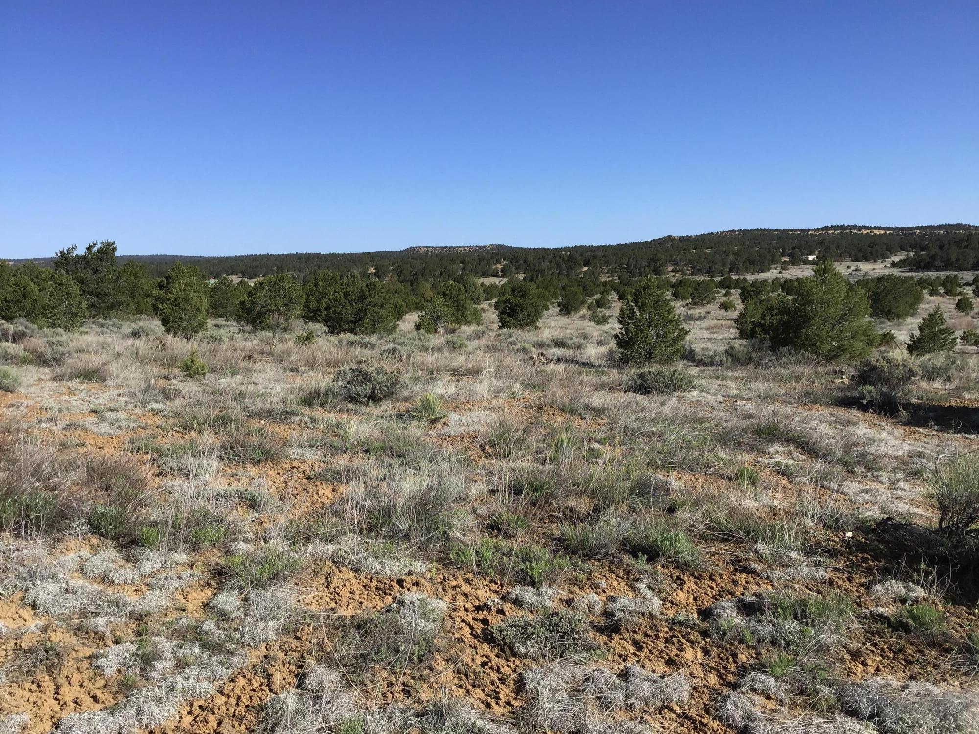 Homes for sale in Ramah, NM | Lot 11 Pinecrest Rd, Ramah, NM 87321 | MLS# 1058469