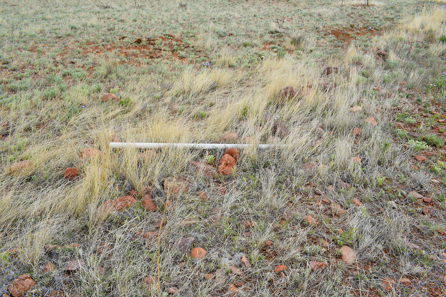 Homes for sale in San Antonio, NM | Lot 40 Sunset Vista Rd, San Antonio, NM 87832 | MLS# 1058723