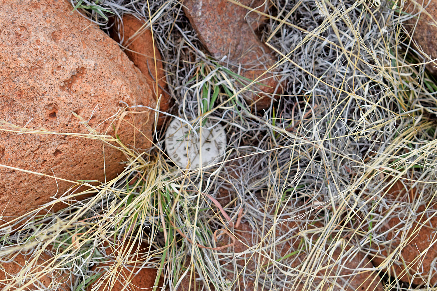 Homes for sale in San Antonio, NM | Lot 40 Sunset Vista Rd, San Antonio, NM 87832 | MLS# 1058723