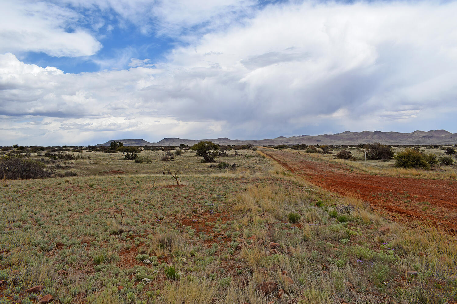 Homes for sale in San Antonio, NM | Lot 40 Sunset Vista Rd, San Antonio, NM 87832 | MLS# 1058723