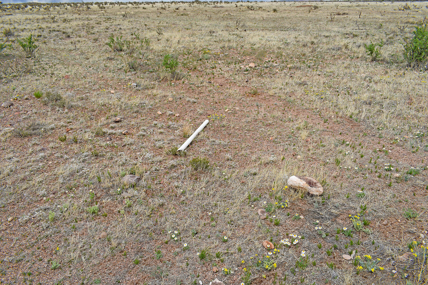 Homes for sale in San Antonio, NM | Lot 41 Sunset Vista Rd, San Antonio, NM 87832 | MLS# 1058728