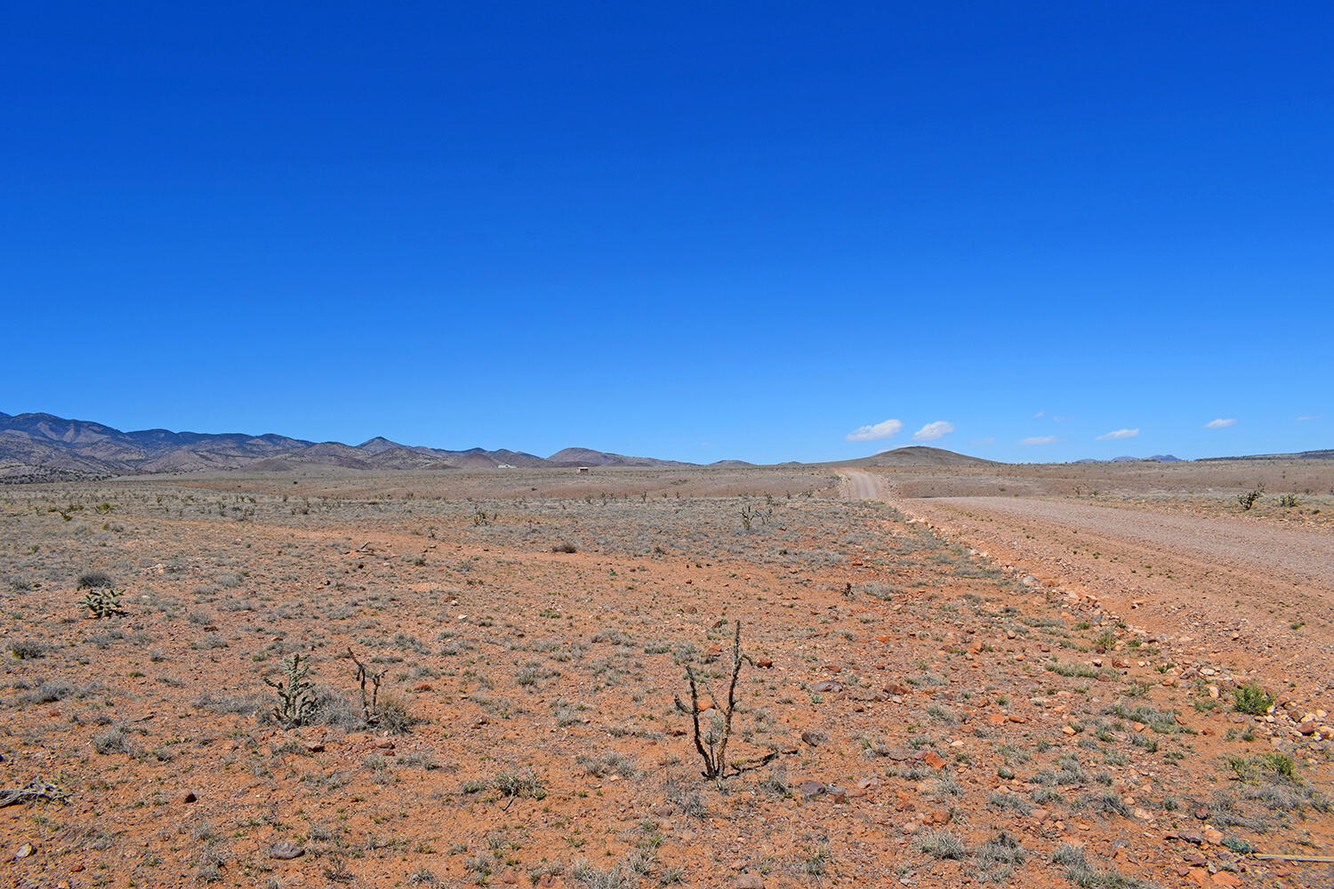 Homes for sale in San Antonio, NM | Lot 11 Prong Horn Rd, San Antonio, NM 87832 | MLS# 1058762