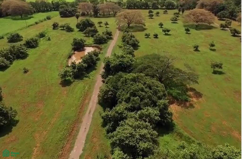 0 bed Land For Sale in Carrillo, Guanacaste - 1