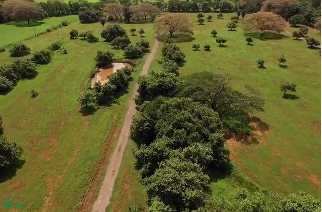 0 bed Land For Sale in , Guanacaste - 1