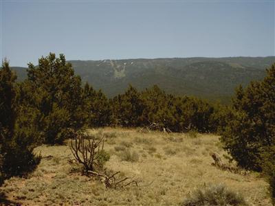 Homes for sale in Sandia Park, NM | 5 Luna Azul, Sandia Park, NM 87047 | MLS# 1058951