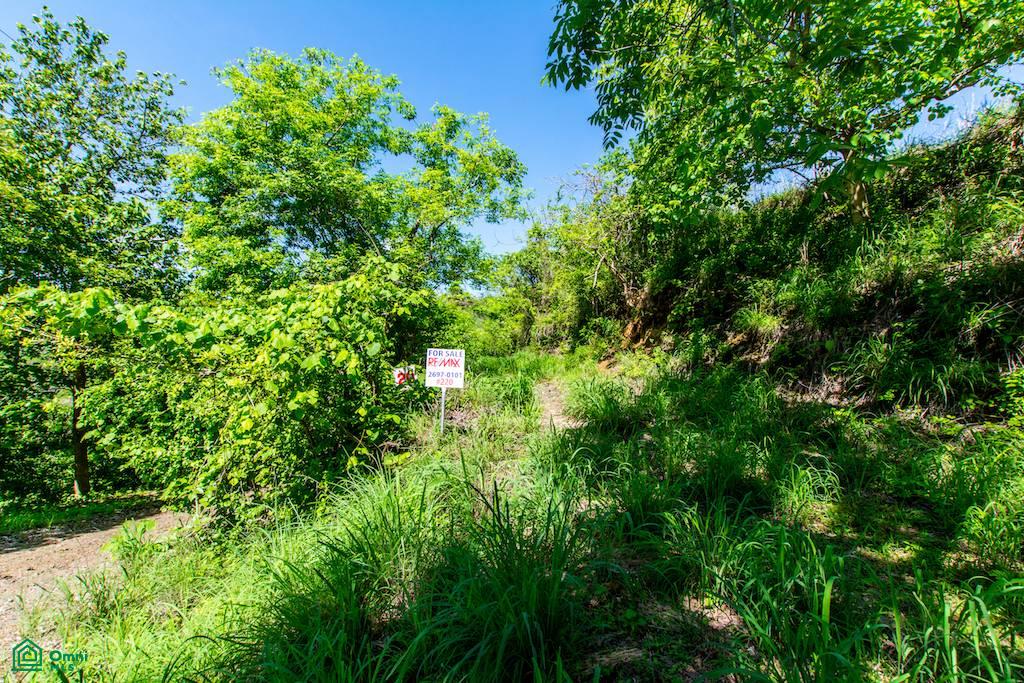 0 bed Land For Sale in Carrillo, Guanacaste - 1