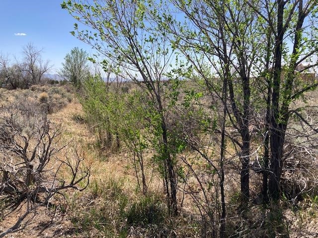 On Sol Grande, Arroyo Seco, NM, 87514