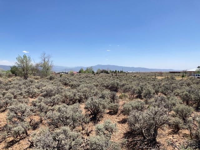 On Sol Grande, Arroyo Seco, NM, 87514