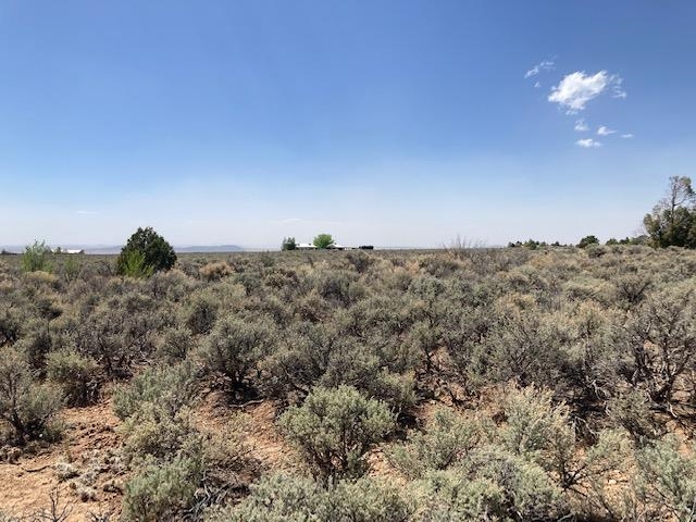 On Sol Grande, Arroyo Seco, NM, 87514