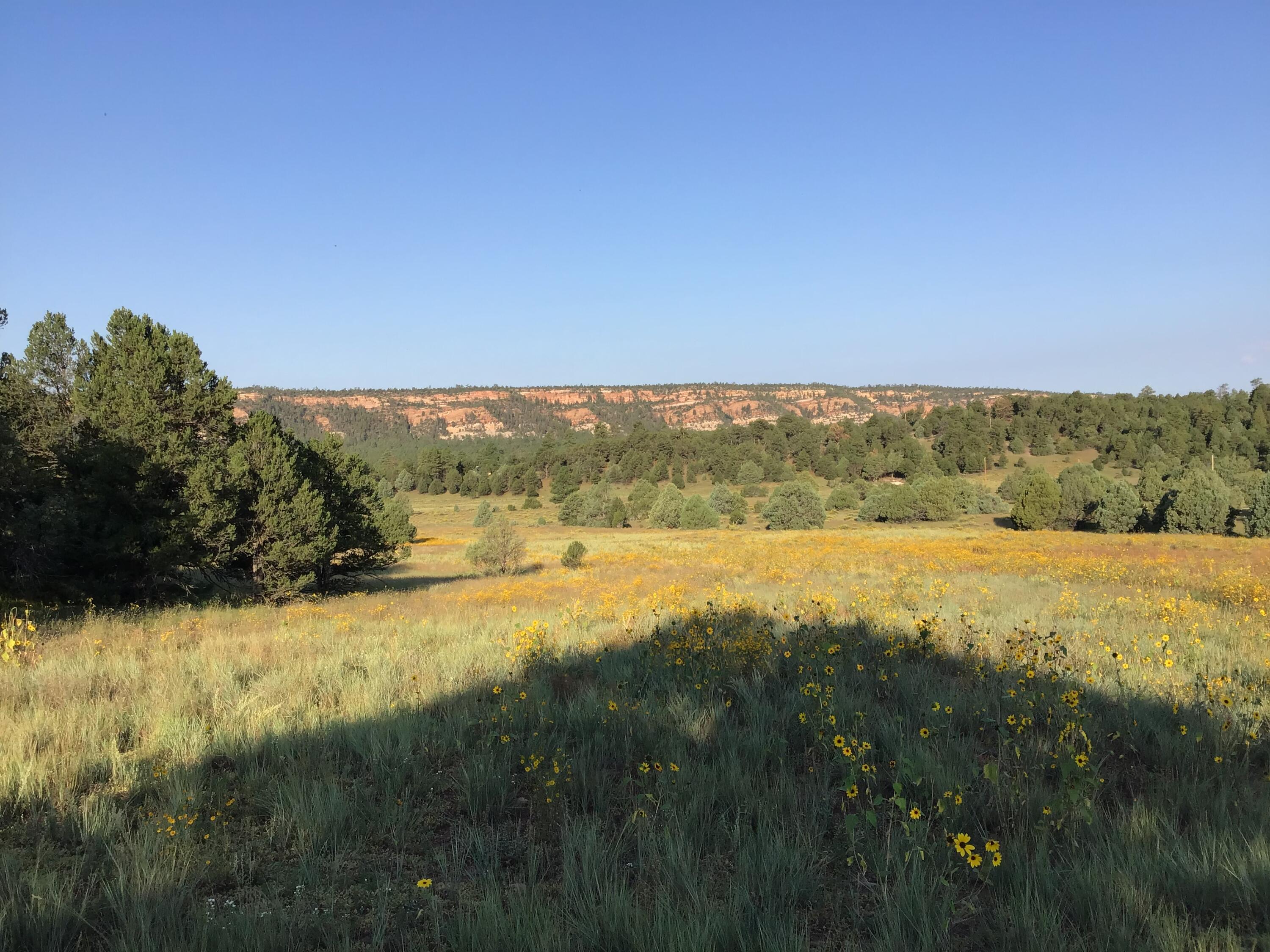 Homes for sale in Ramah, NM | Lot 14 E Elk Dr, Ramah, NM 87321 | MLS# 1059575