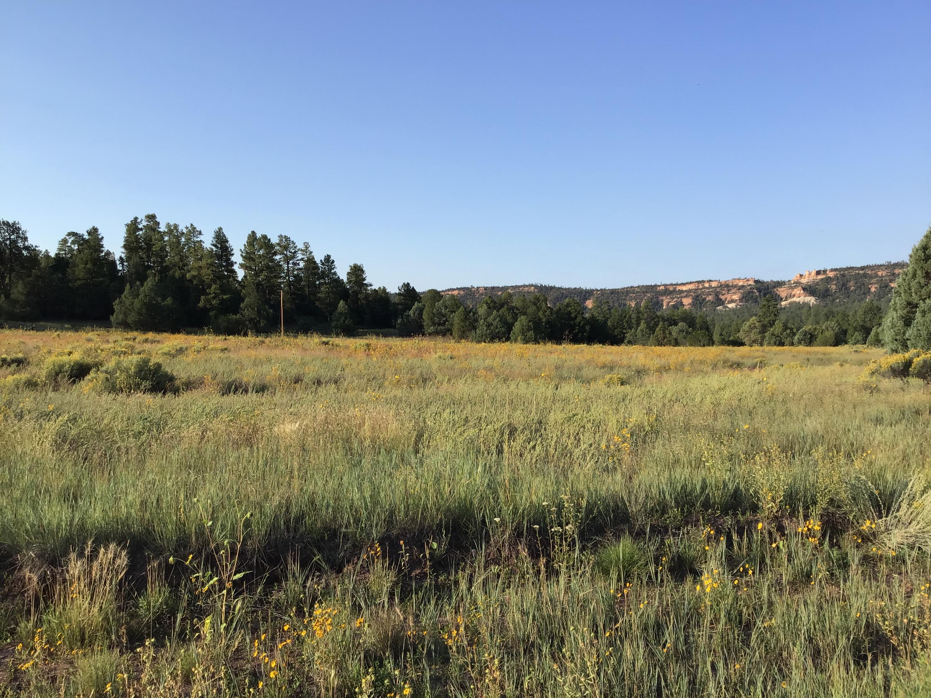 Homes for sale in Ramah, NM | Lot 14 E Elk Dr, Ramah, NM 87321 | MLS# 1059575