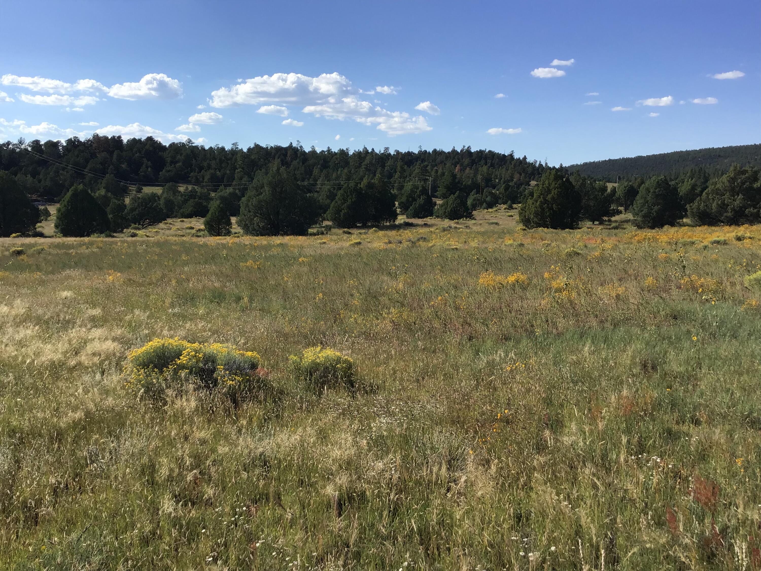 Homes for sale in Ramah, NM | Lot 14 E Elk Dr, Ramah, NM 87321 | MLS# 1059575