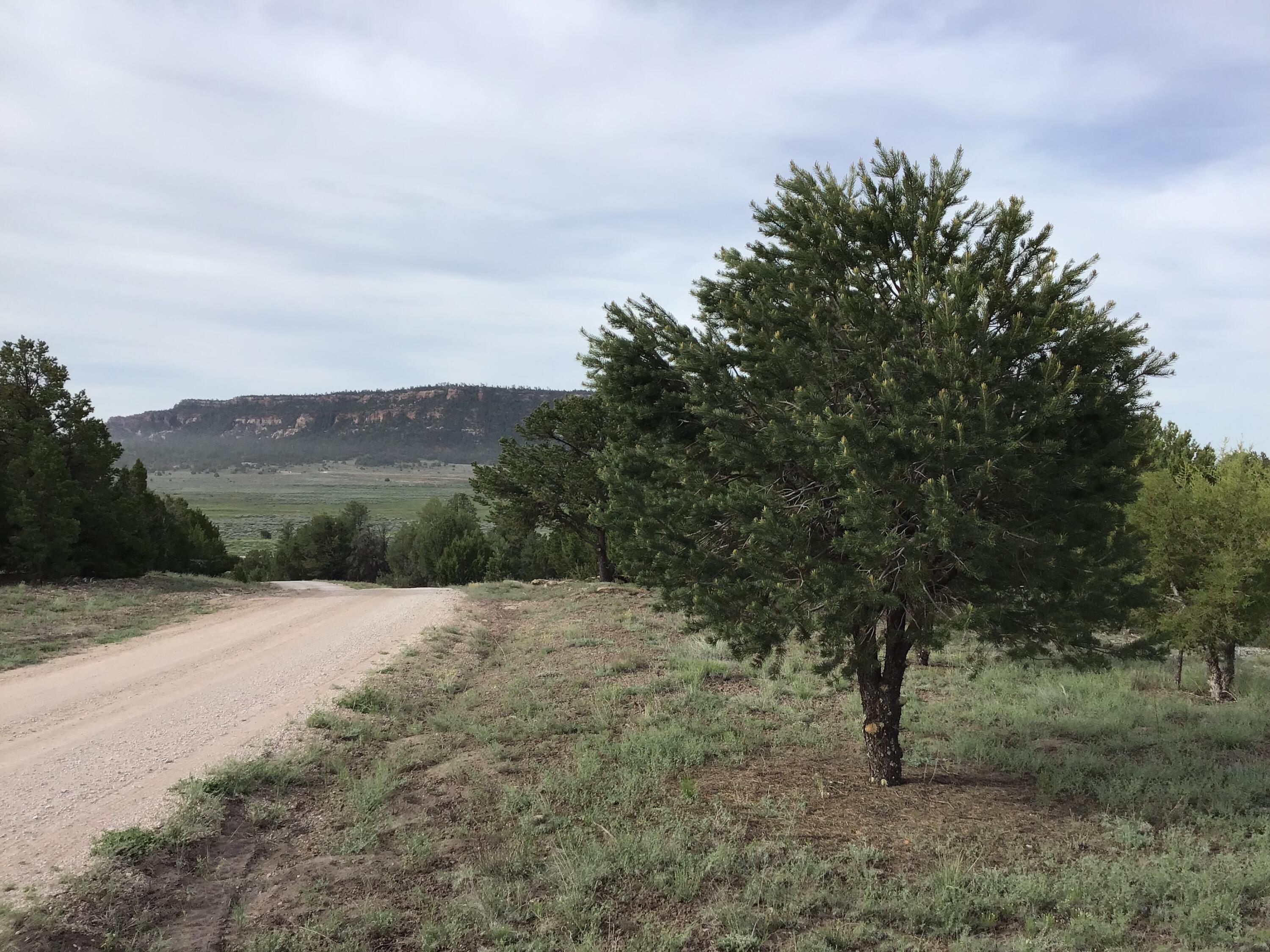 Homes for sale in Ramah, NM | Lot 6 Sunflower Dr, Ramah, NM 87321 | MLS# 1059579