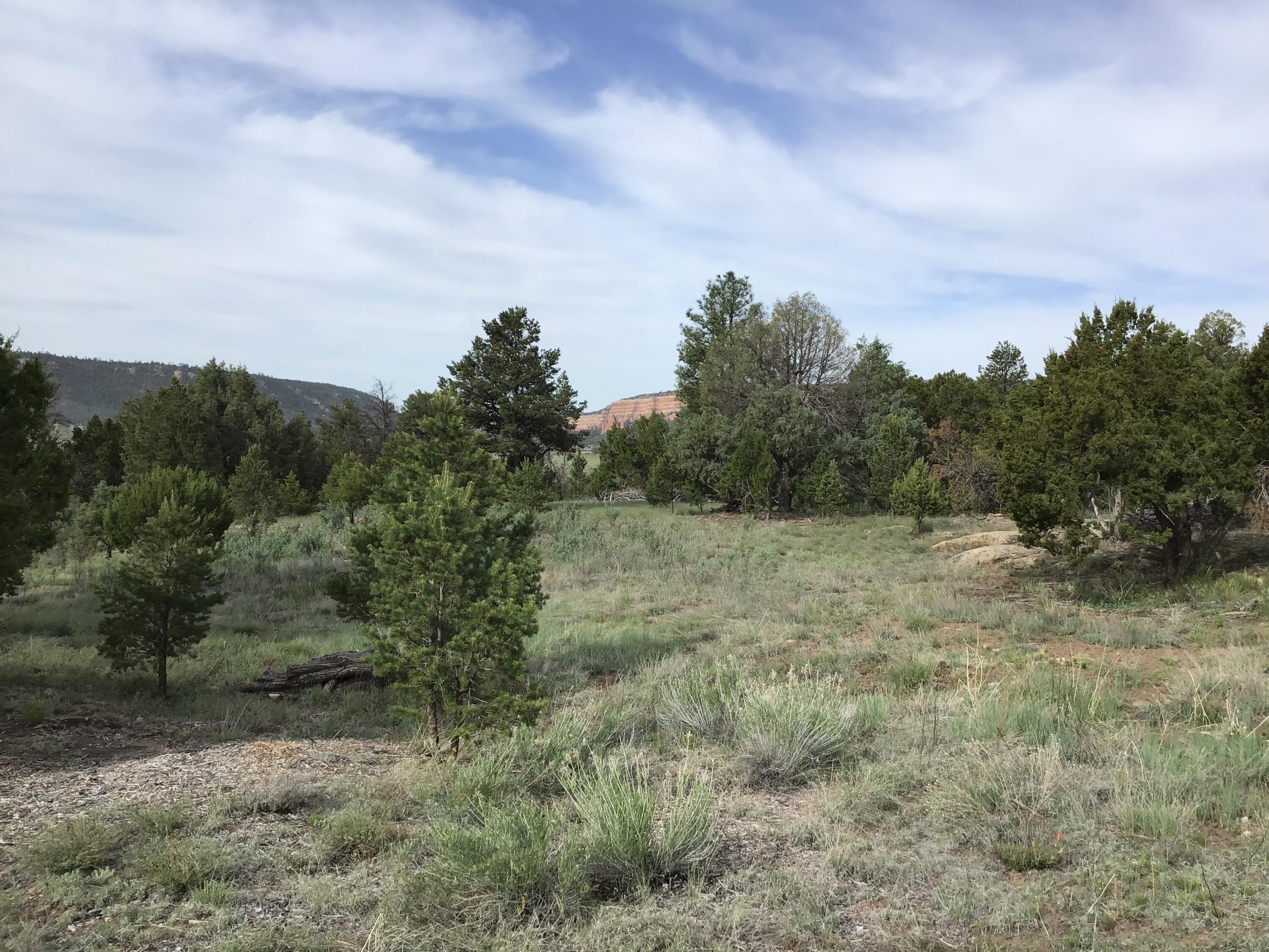 Homes for sale in Ramah, NM | Lot 6 Sunflower Dr, Ramah, NM 87321 | MLS# 1059579