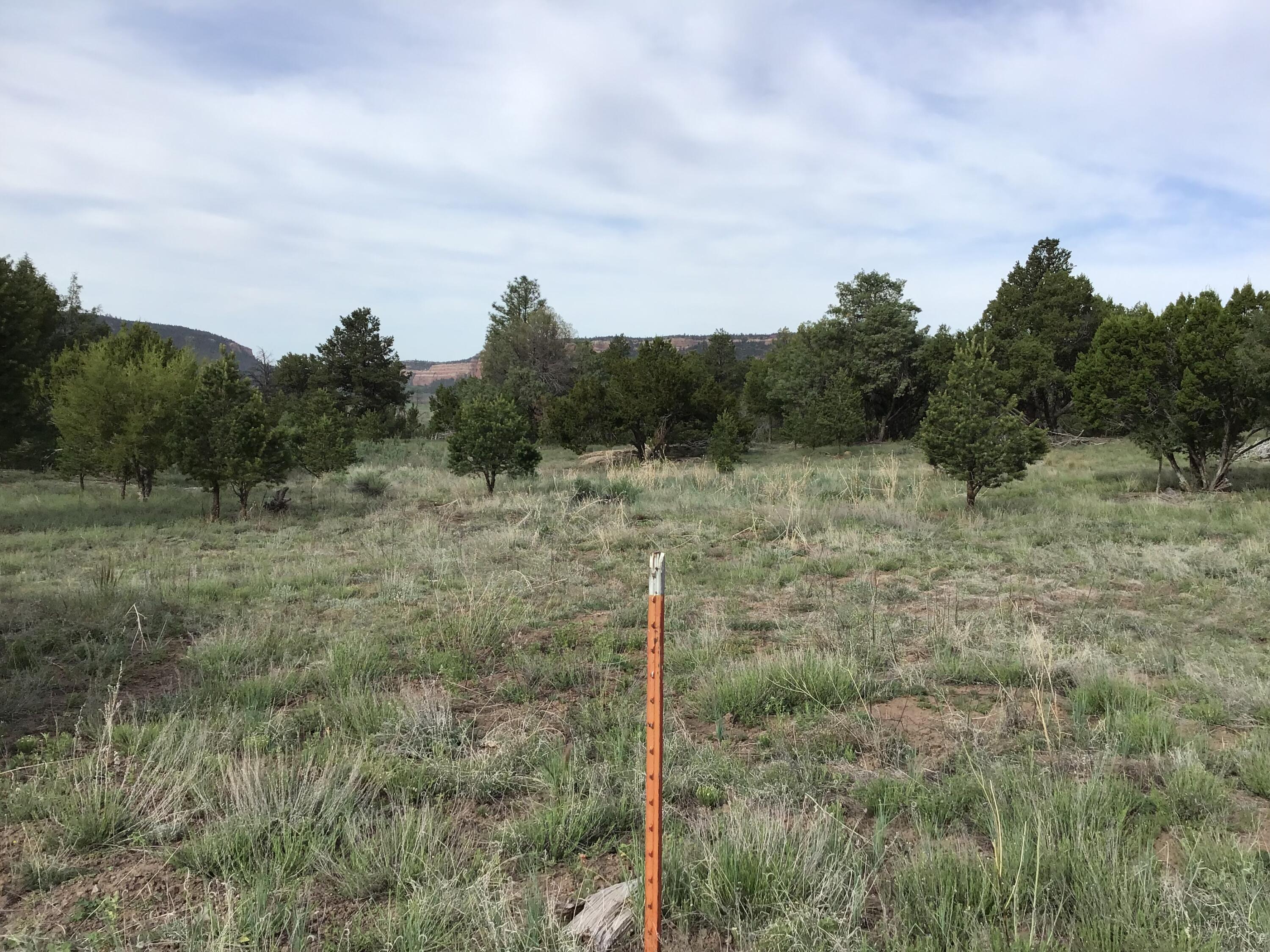 Homes for sale in Ramah, NM | Lot 6 Sunflower Dr, Ramah, NM 87321 | MLS# 1059579