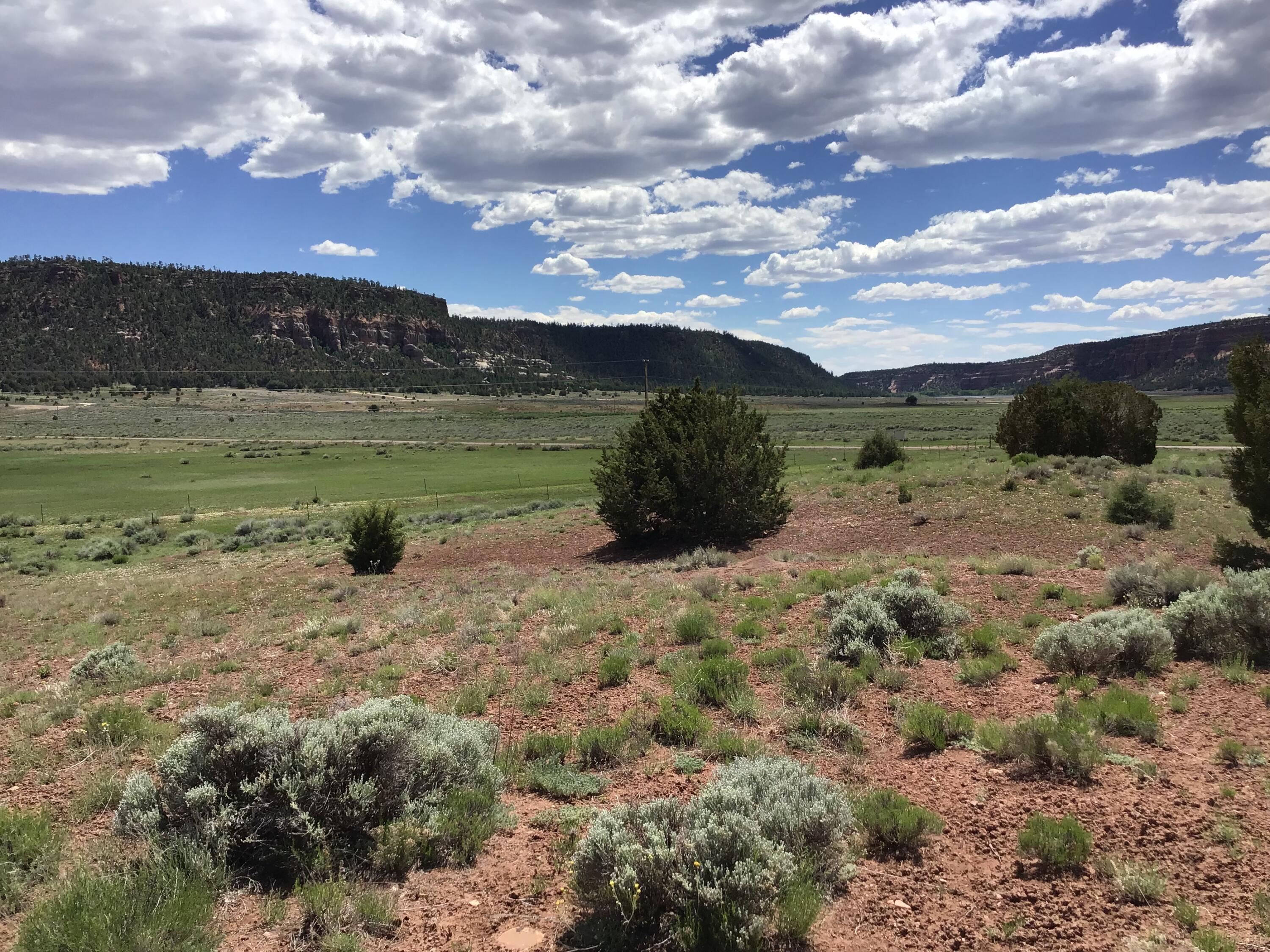 Homes for sale in Ramah, NM | Lot D Timberlake Rd, Ramah, NM 87321 | MLS# 1059590
