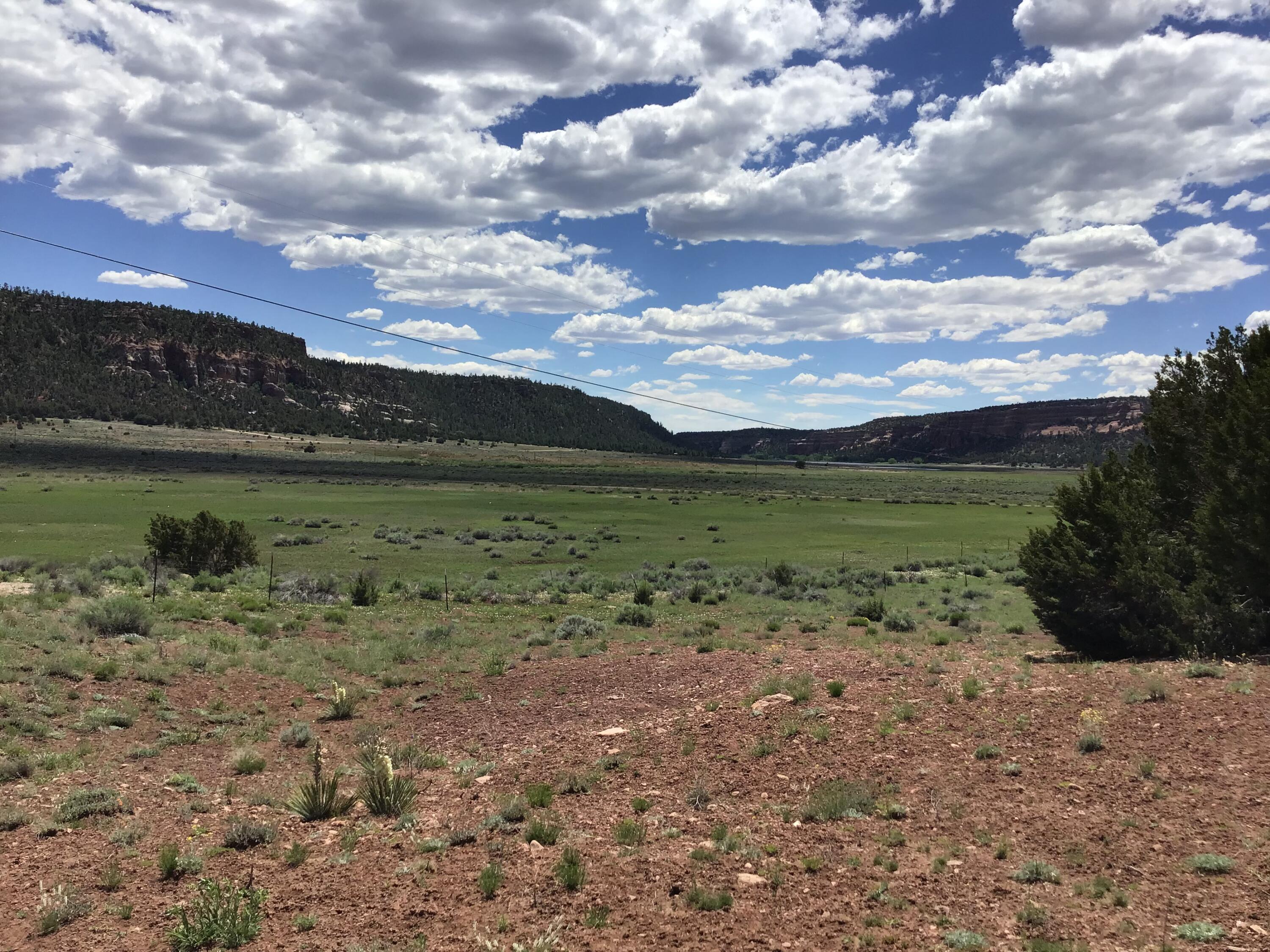 Homes for sale in Ramah, NM | Lot D Timberlake Rd, Ramah, NM 87321 | MLS# 1059590