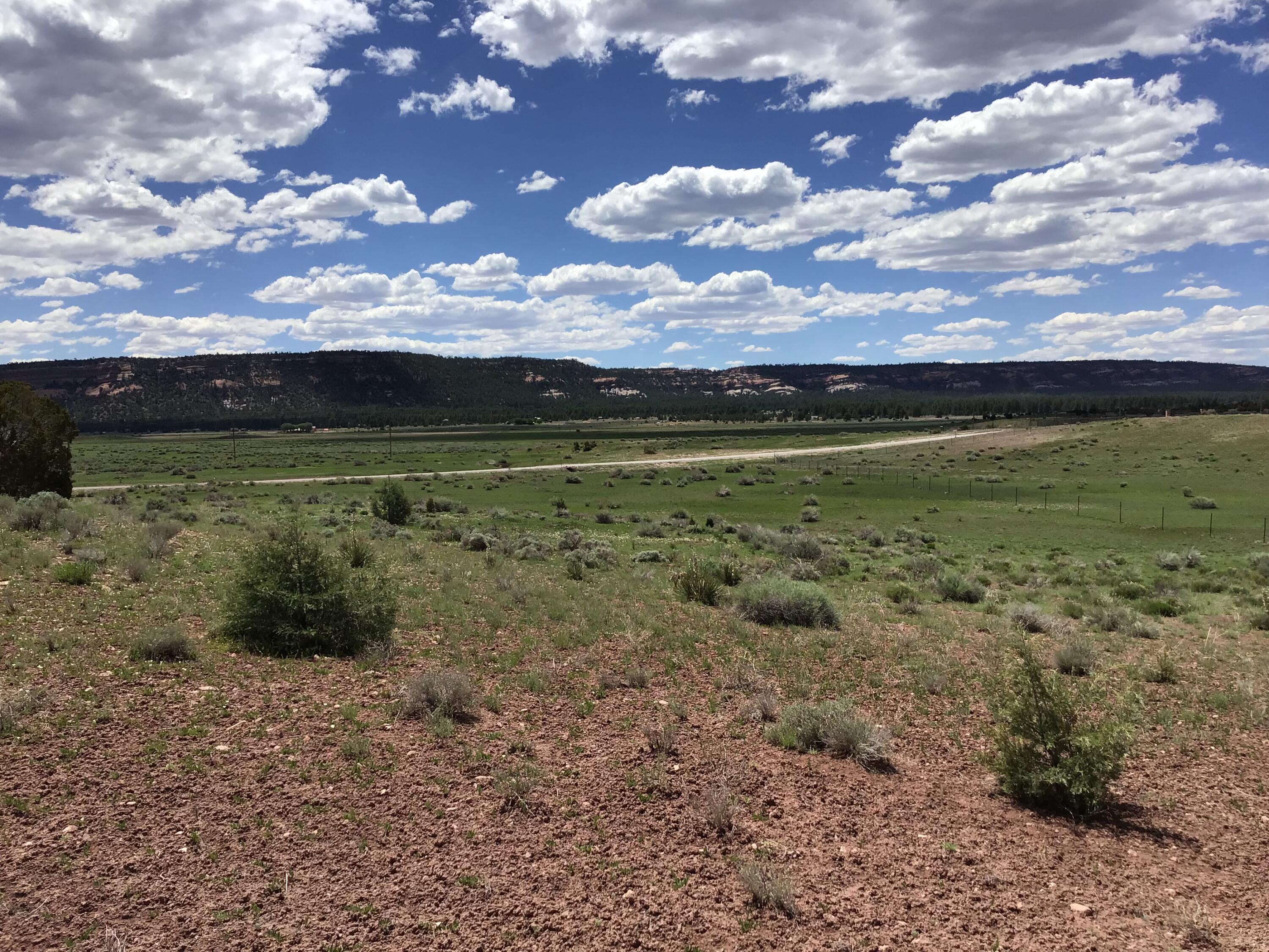 Homes for sale in Ramah, NM | Lot D Timberlake Rd, Ramah, NM 87321 | MLS# 1059590