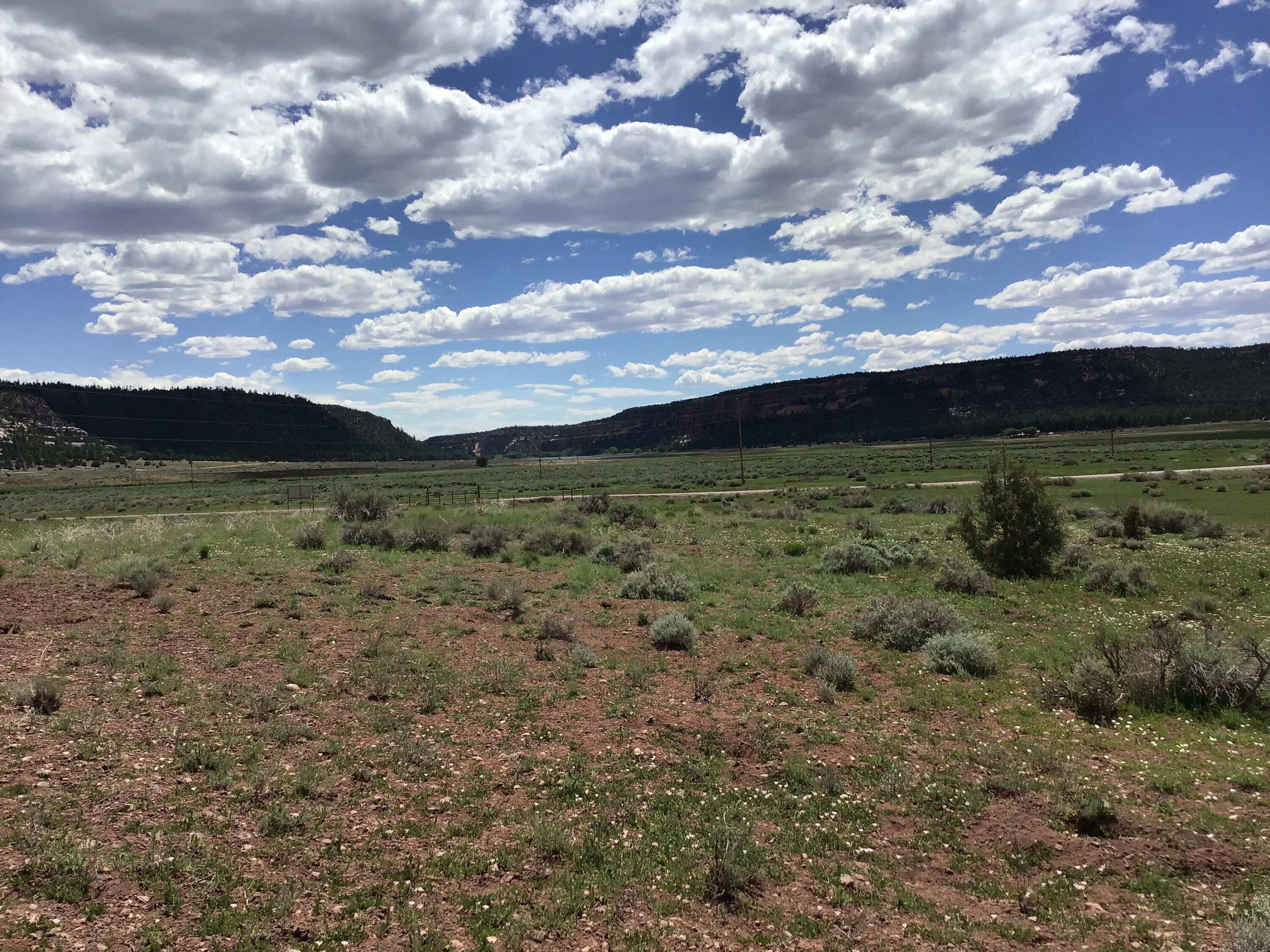 Homes for sale in Ramah, NM | Lot D Timberlake Rd, Ramah, NM 87321 | MLS# 1059590