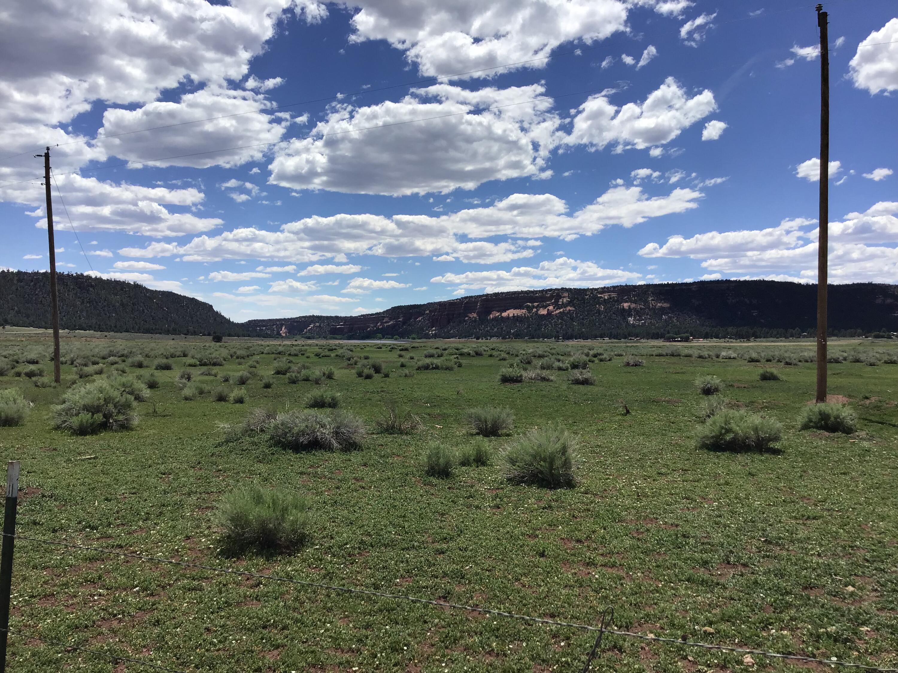 Homes for sale in Ramah, NM | Lot D Timberlake Rd, Ramah, NM 87321 | MLS# 1059590