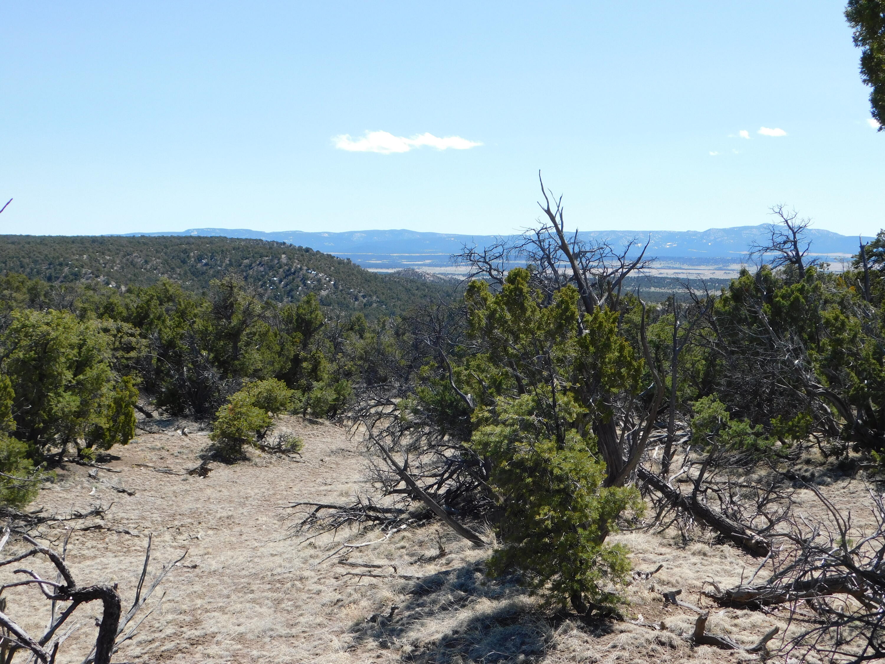 Homes for sale in Quemado, NM | Lot 70 Creekside Dr, Quemado, NM 87829 | MLS# 1059962