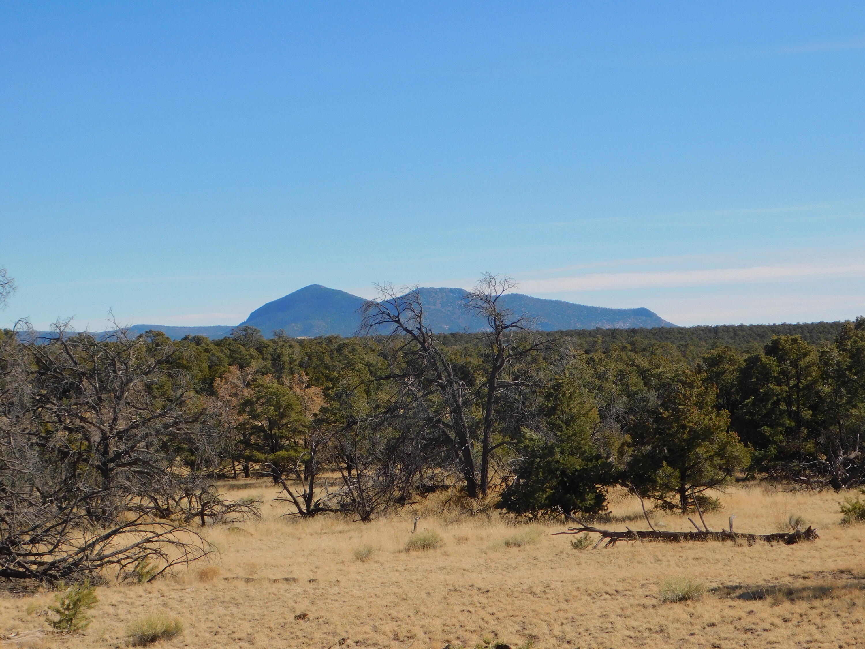 Homes for sale in Quemado, NM | Lot 70 Creekside Dr, Quemado, NM 87829 | MLS# 1059962