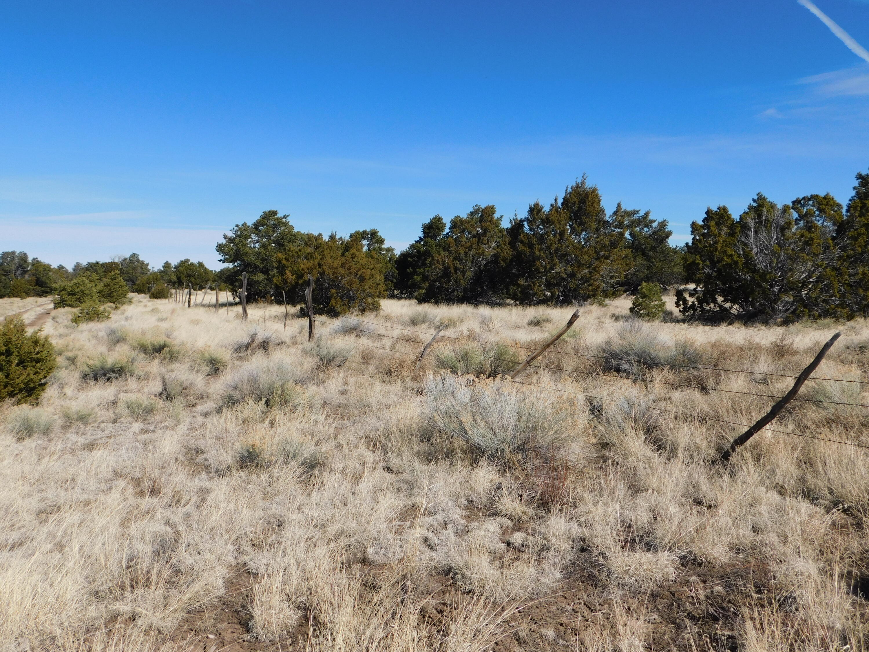 Homes for sale in Quemado, NM | Lot 38A Agua Fria Loop, Quemado, NM 87829 | MLS# 1059977