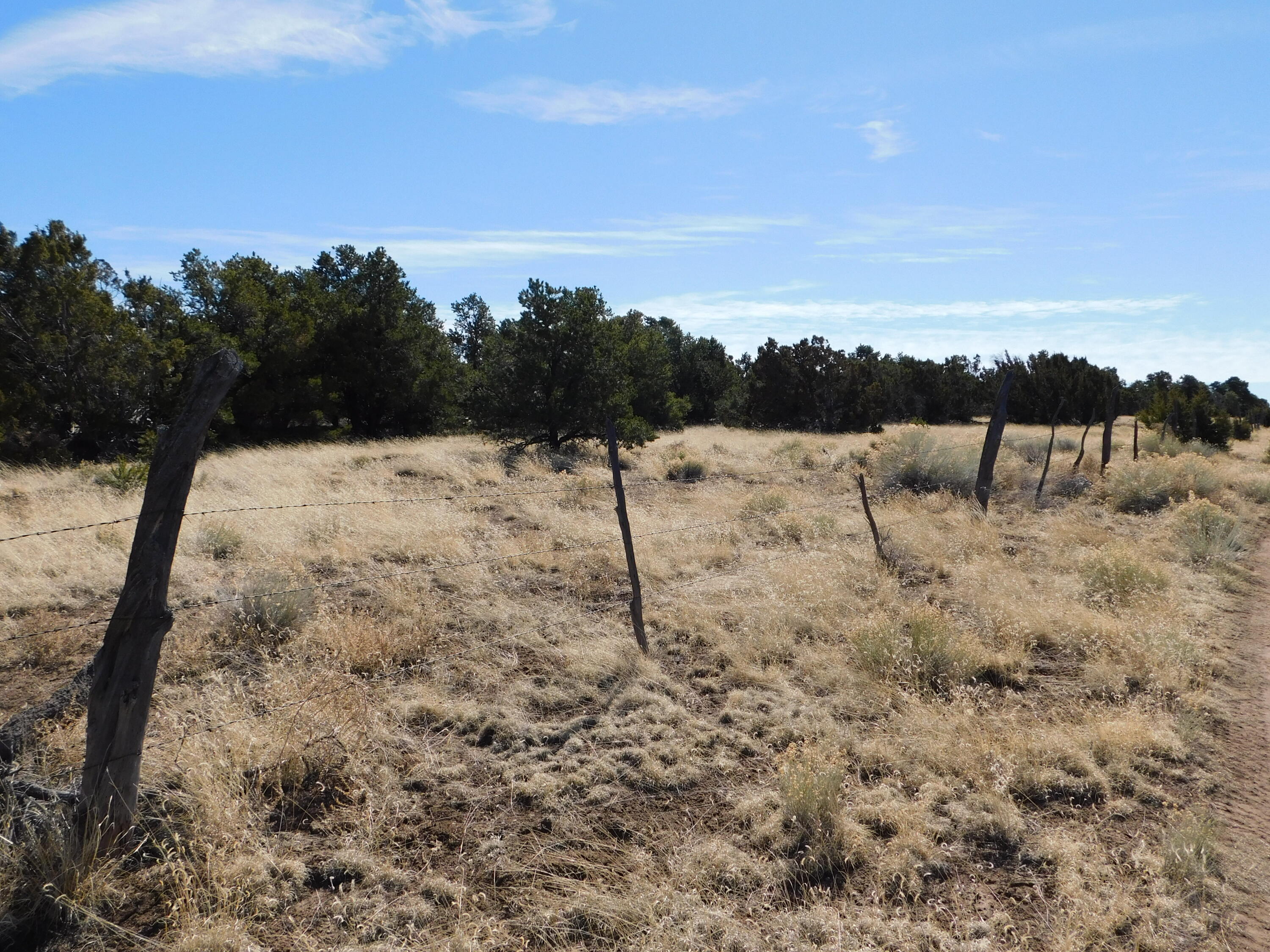 Homes for sale in Quemado, NM | Lot 38A Agua Fria Loop, Quemado, NM 87829 | MLS# 1059977