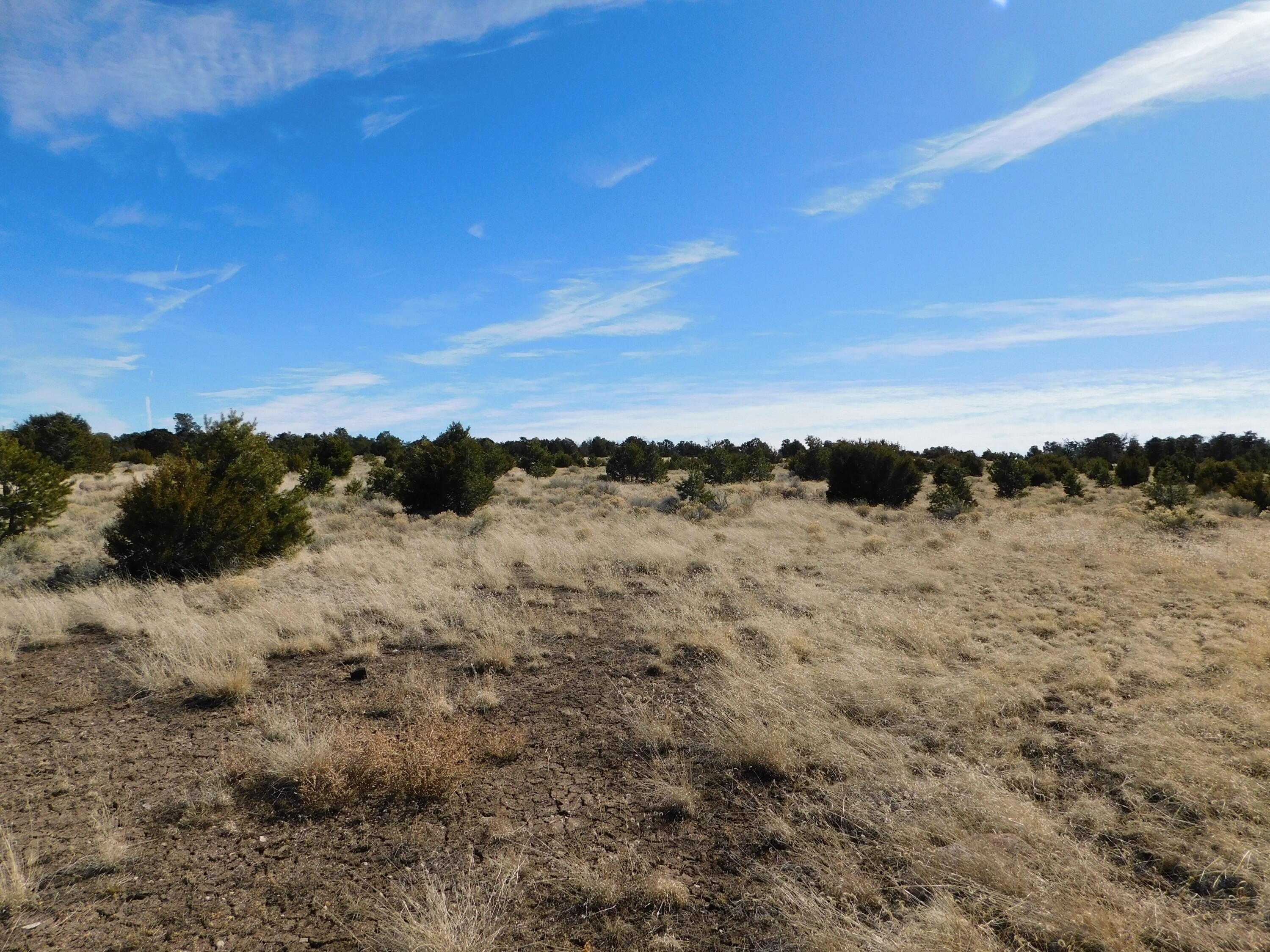 Homes for sale in Quemado, NM | Lot 38A Agua Fria Loop, Quemado, NM 87829 | MLS# 1059977