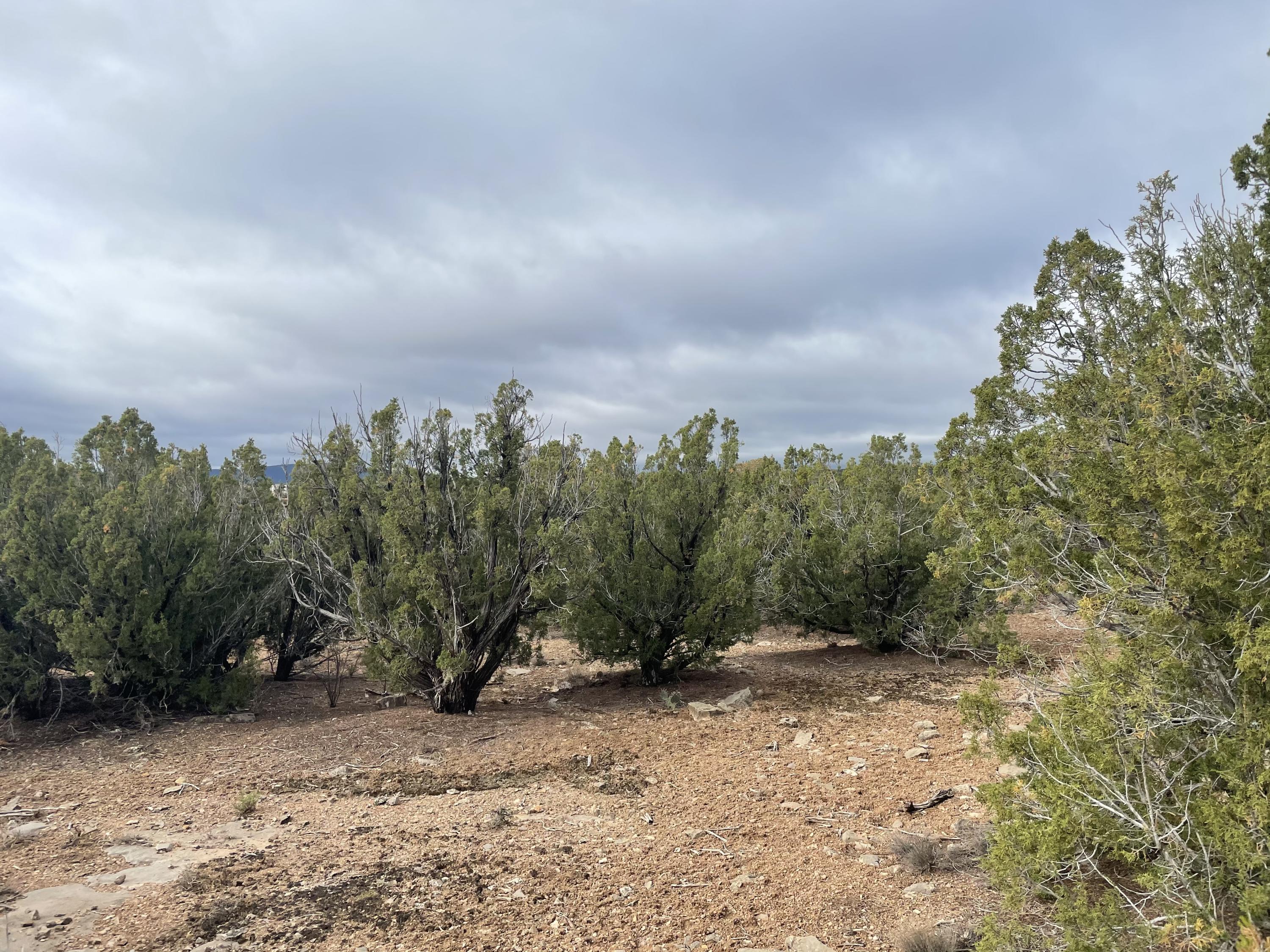 Homes for sale in Sandia Park, NM | 11 Raindance Rd, Sandia Park, NM 87047 | MLS# 1060005